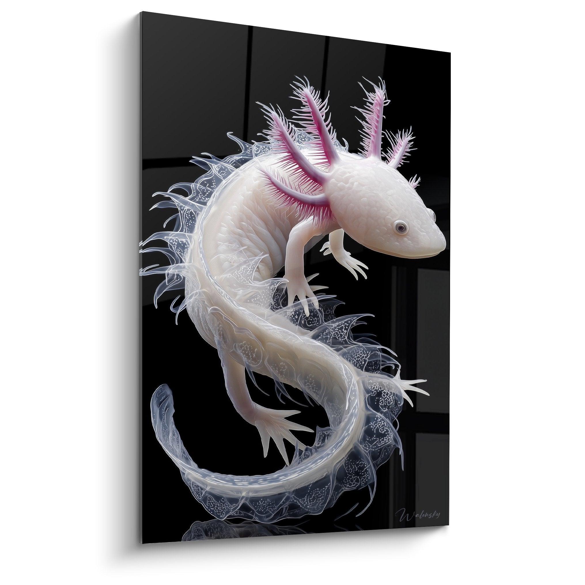 Tableau axolotl albinos translucide branchies roses fond noir art aquatique mystérieux