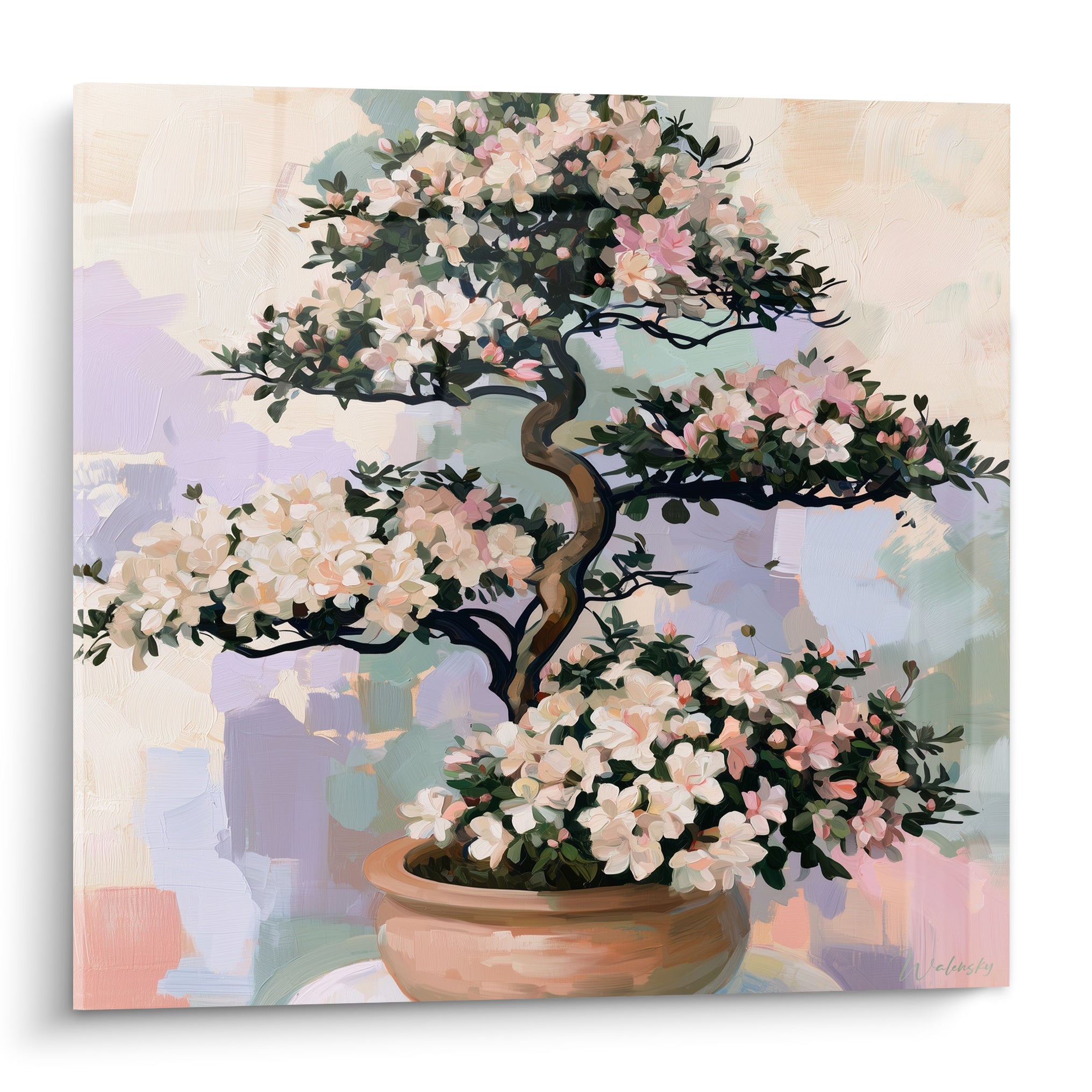 Bonsaï azalée rose et blanc en pot terracotta, tronc sinueux sur fond lavande pastel