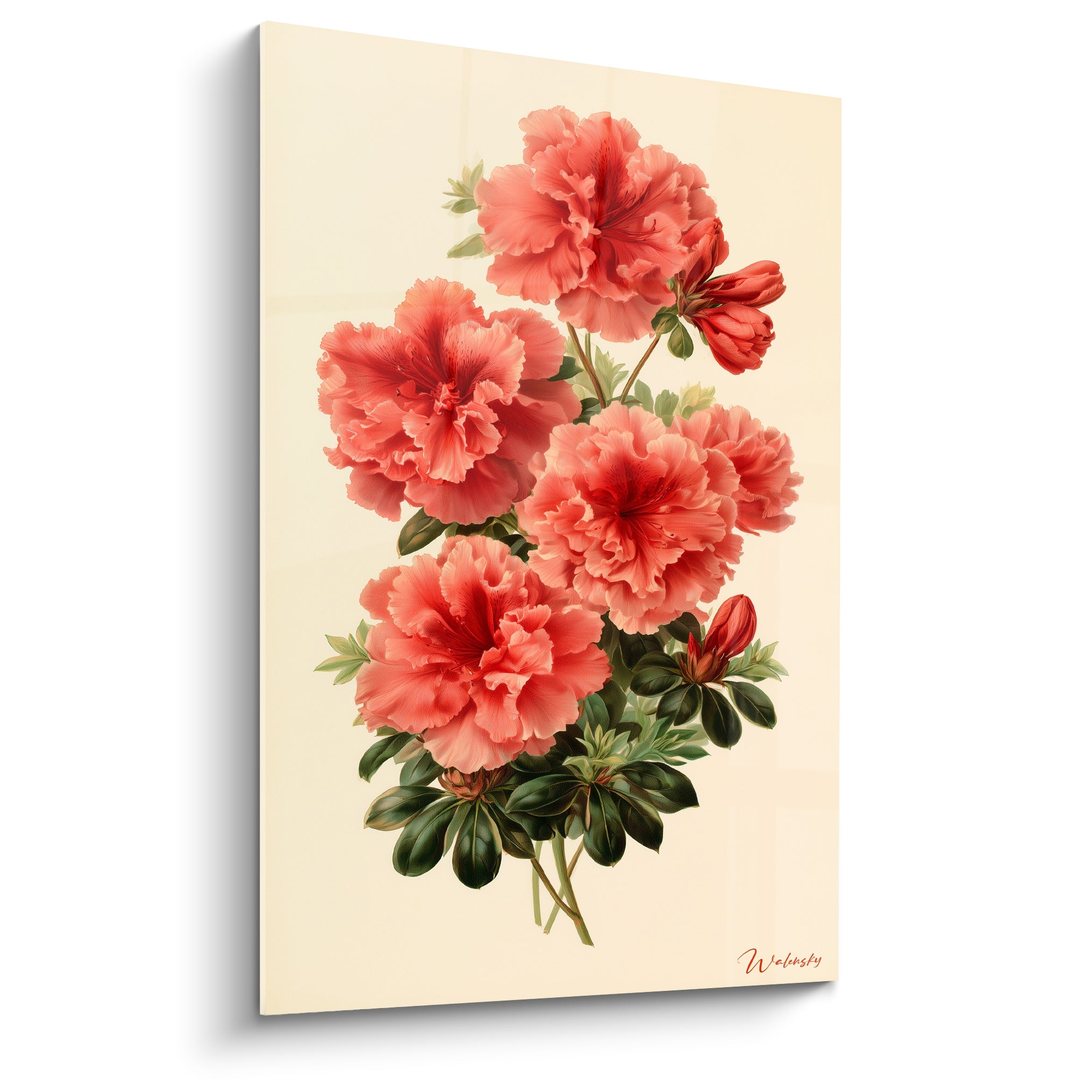 Azalée aux pétales corail et rouge profond, feuillage vert olive, fond ivoire épuré