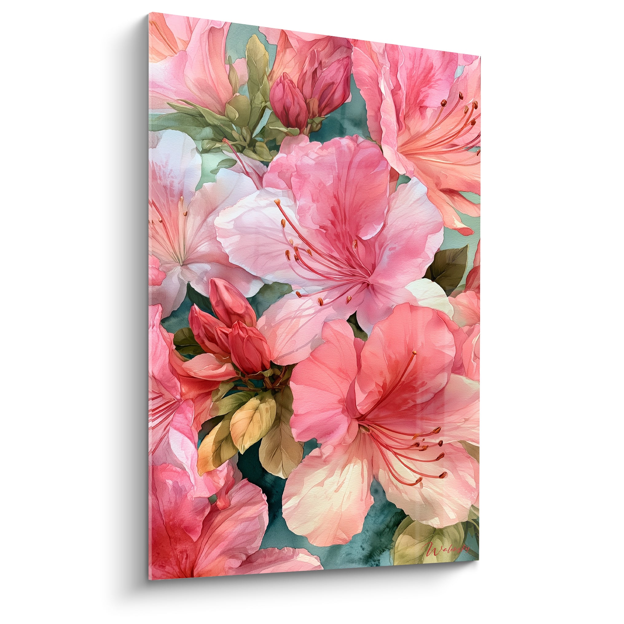 Azalées roses et blanches épanouies sur fond vert émeraude, aquarelle aux pétales délicats et lumineux
