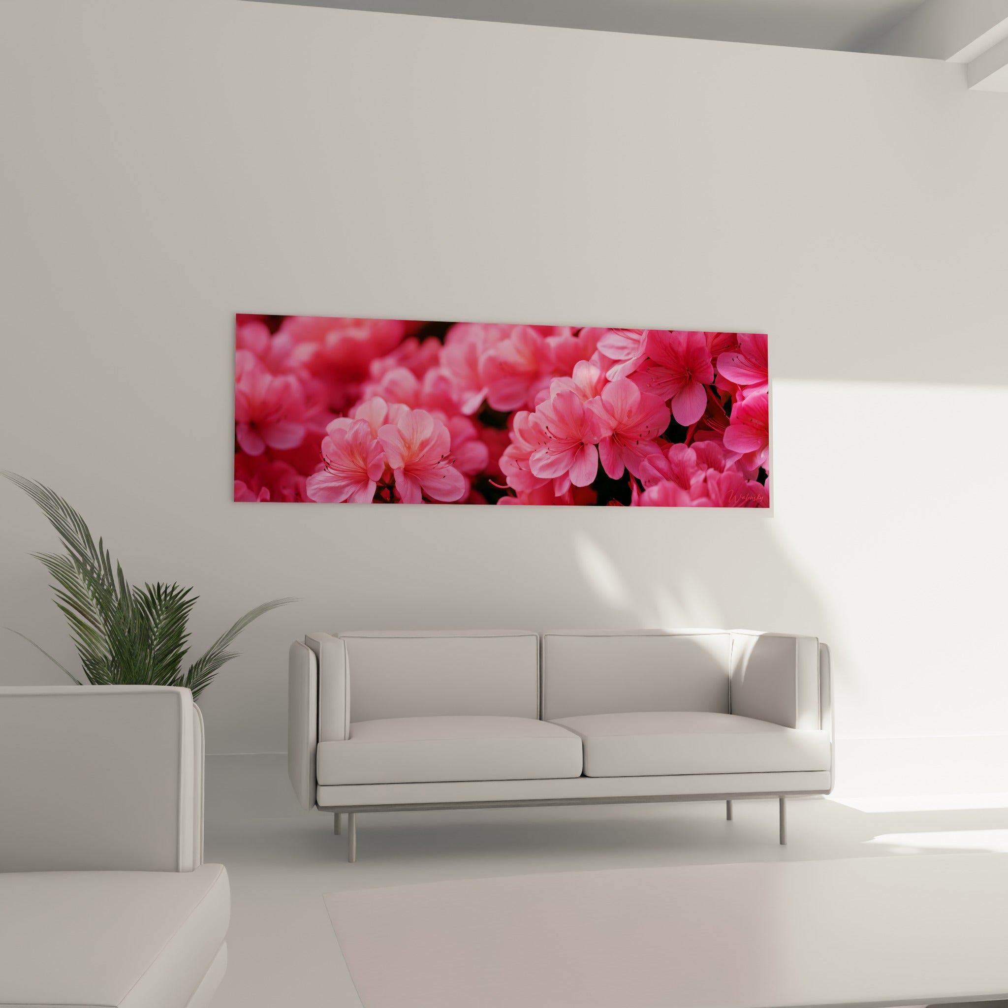 Fleurs d'azalée roses et fuchsia disposées au-dessus d'un canapé dans un salon lumineux