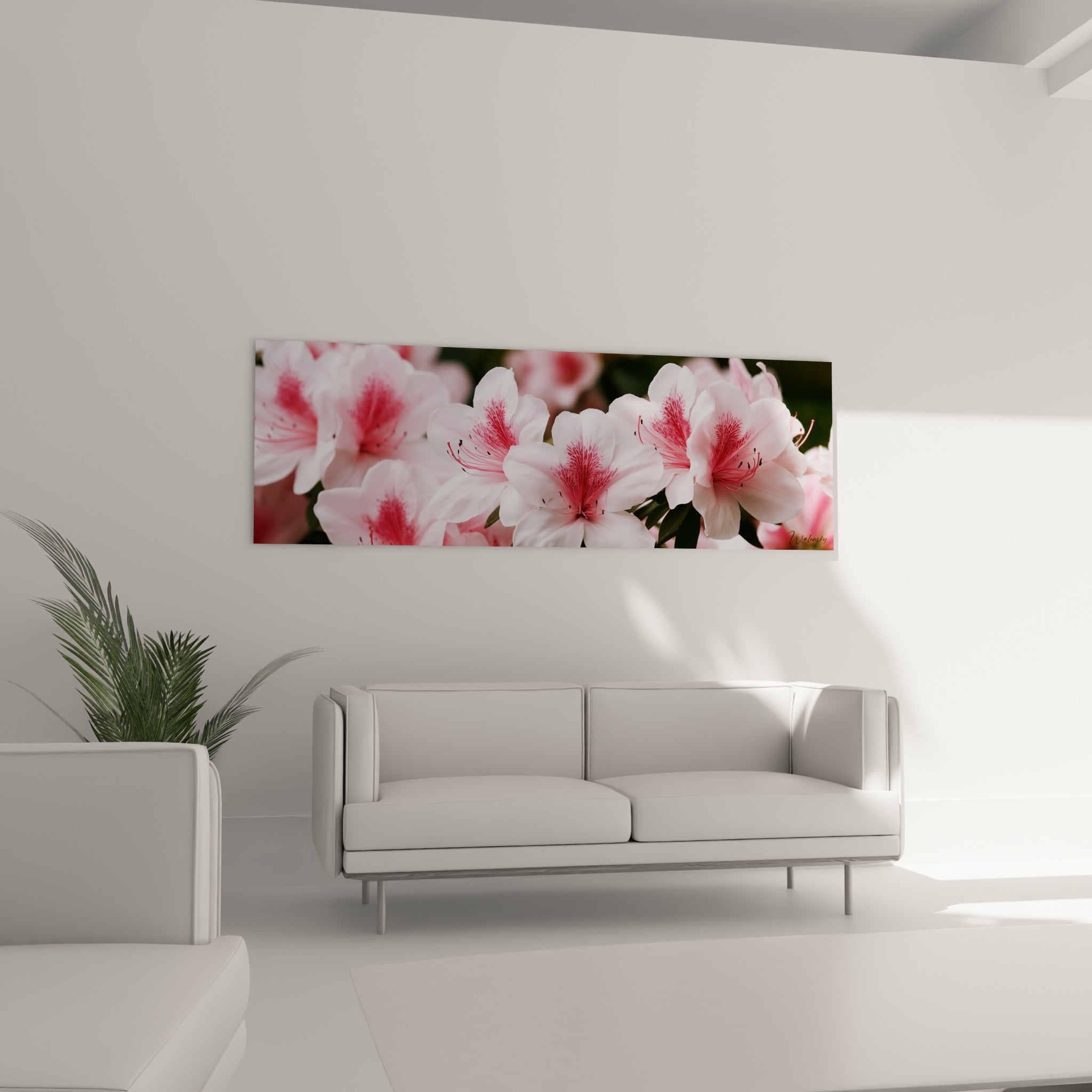 Fleurs d'azalée blanc nacré et rose fuchsia disposées au-dessus d'un canapé dans un salon lumineux