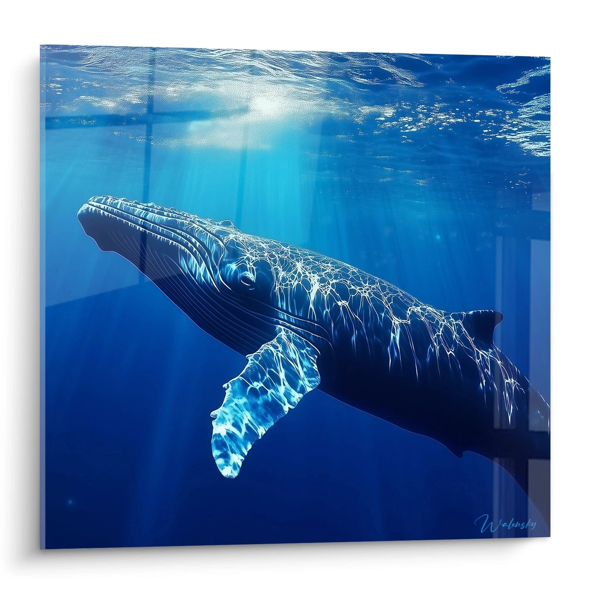 Tableau baleine de Walensky représentant une baleine nageant sous l'eau avec des reflets lumineux