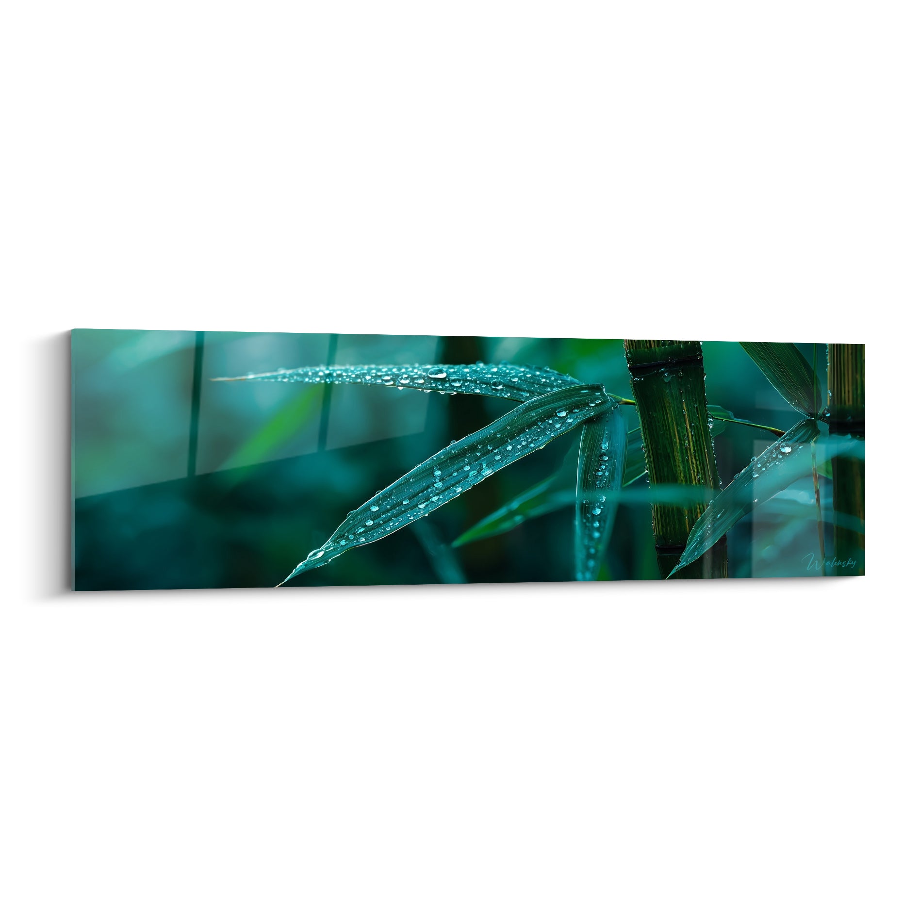 Bambou aux feuilles vert turquoise couvertes de gouttes de rosée scintillantes en gros plan