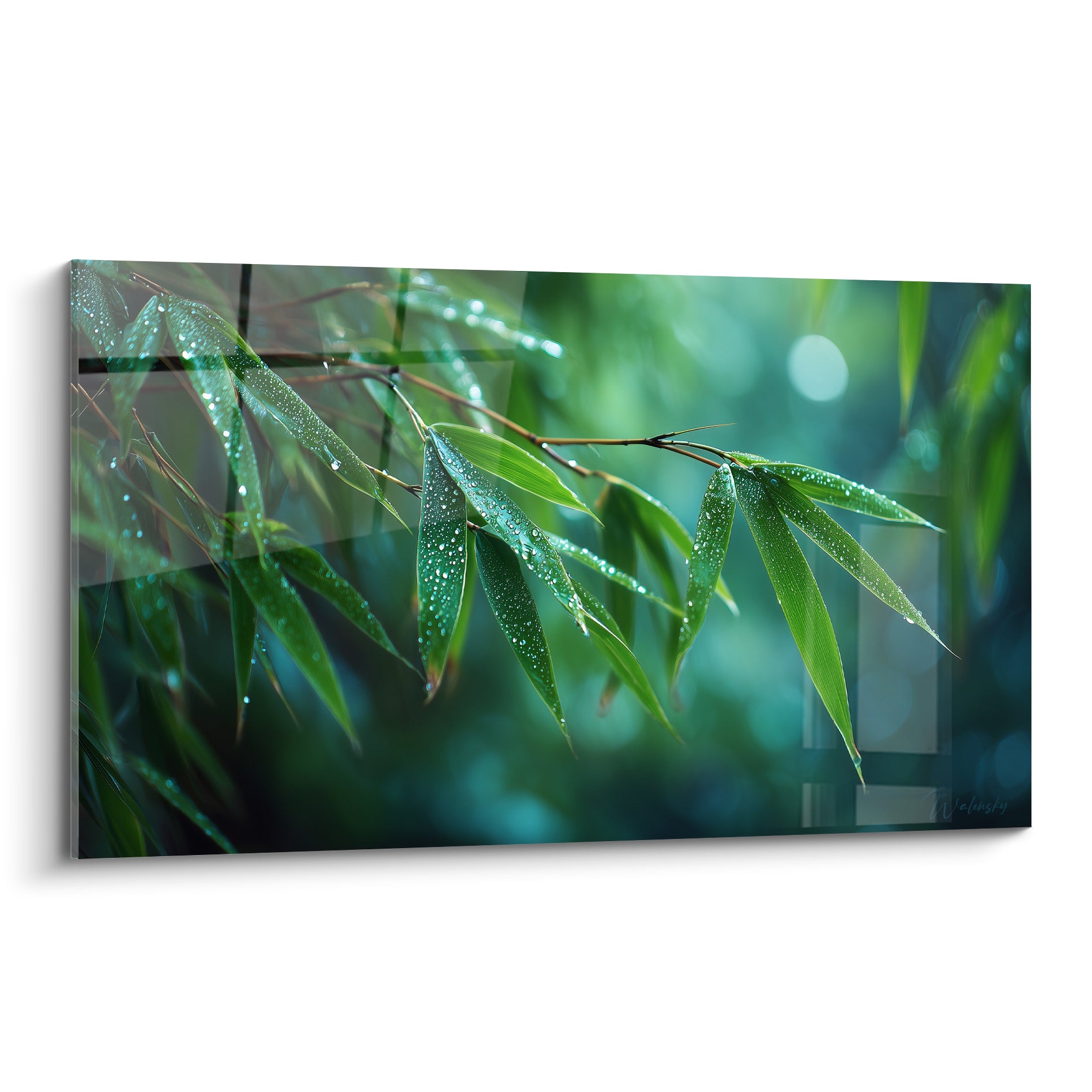 Bambou vert émeraude aux feuilles perlées de rosée sur fond bleu turquoise flou