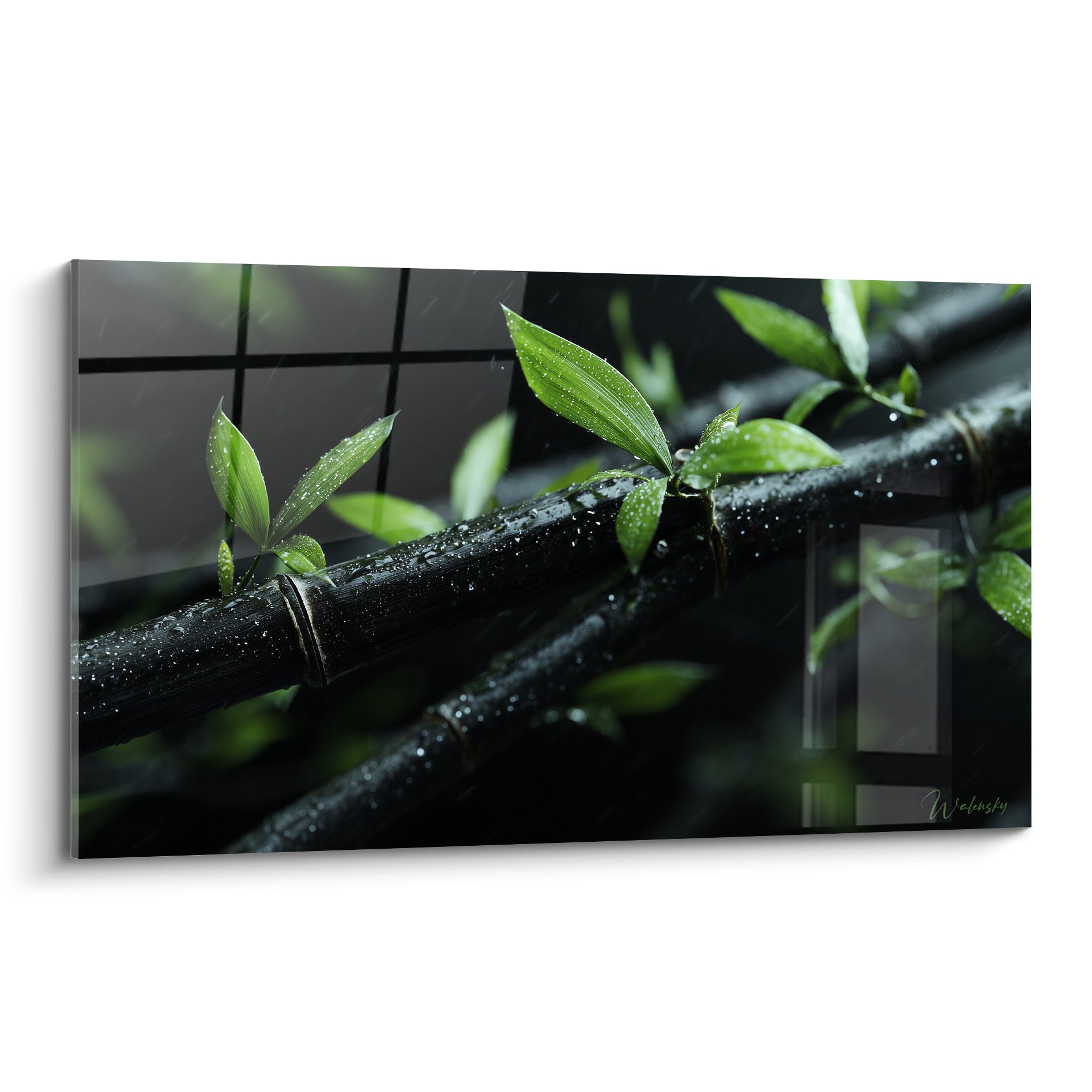 Bambou noir strié de gouttes d'eau, feuilles vertes lumineuses détachées sur fond sombre pluvieux