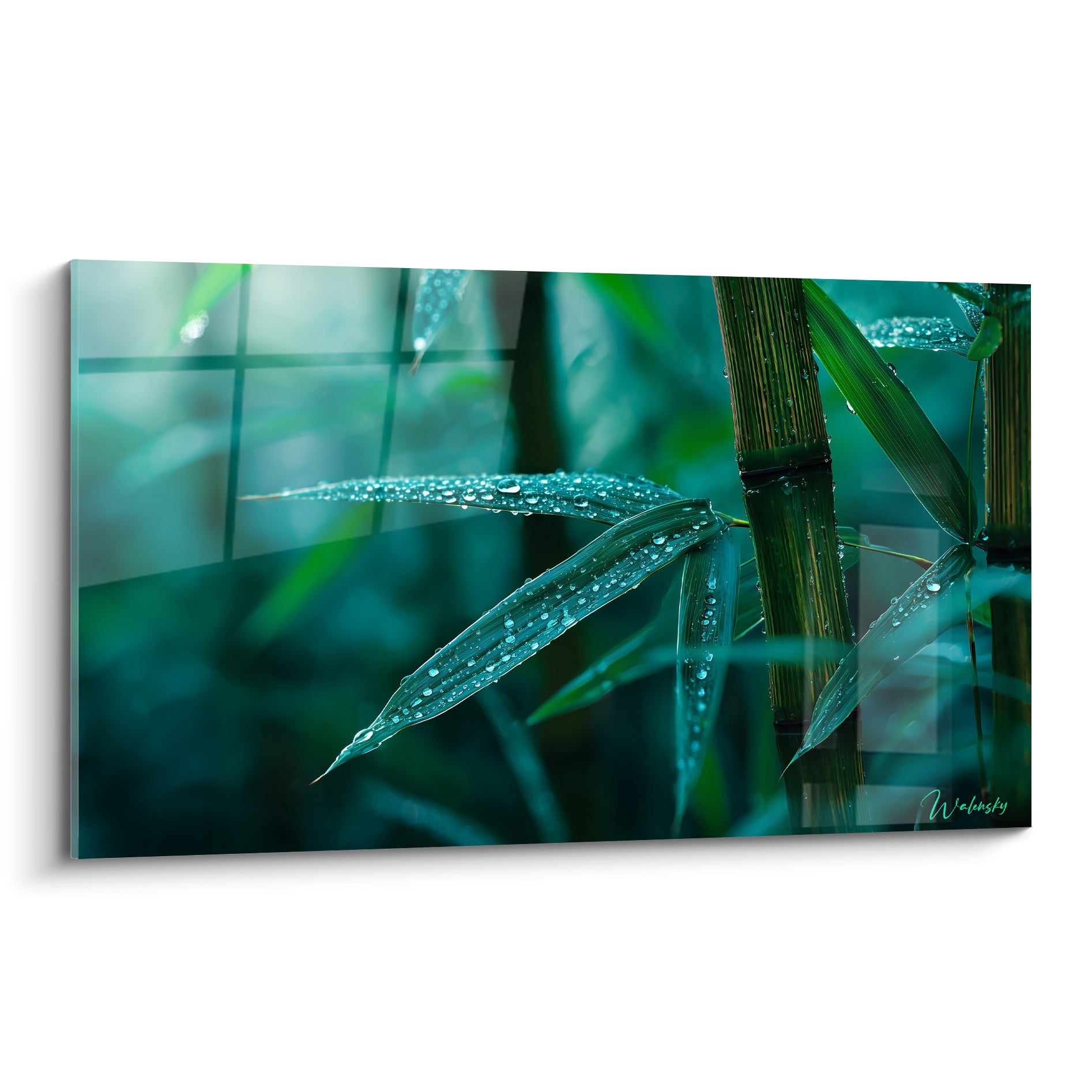 Bambou vert émeraude aux feuilles perlées de gouttes de rosée sur fond turquoise flouté