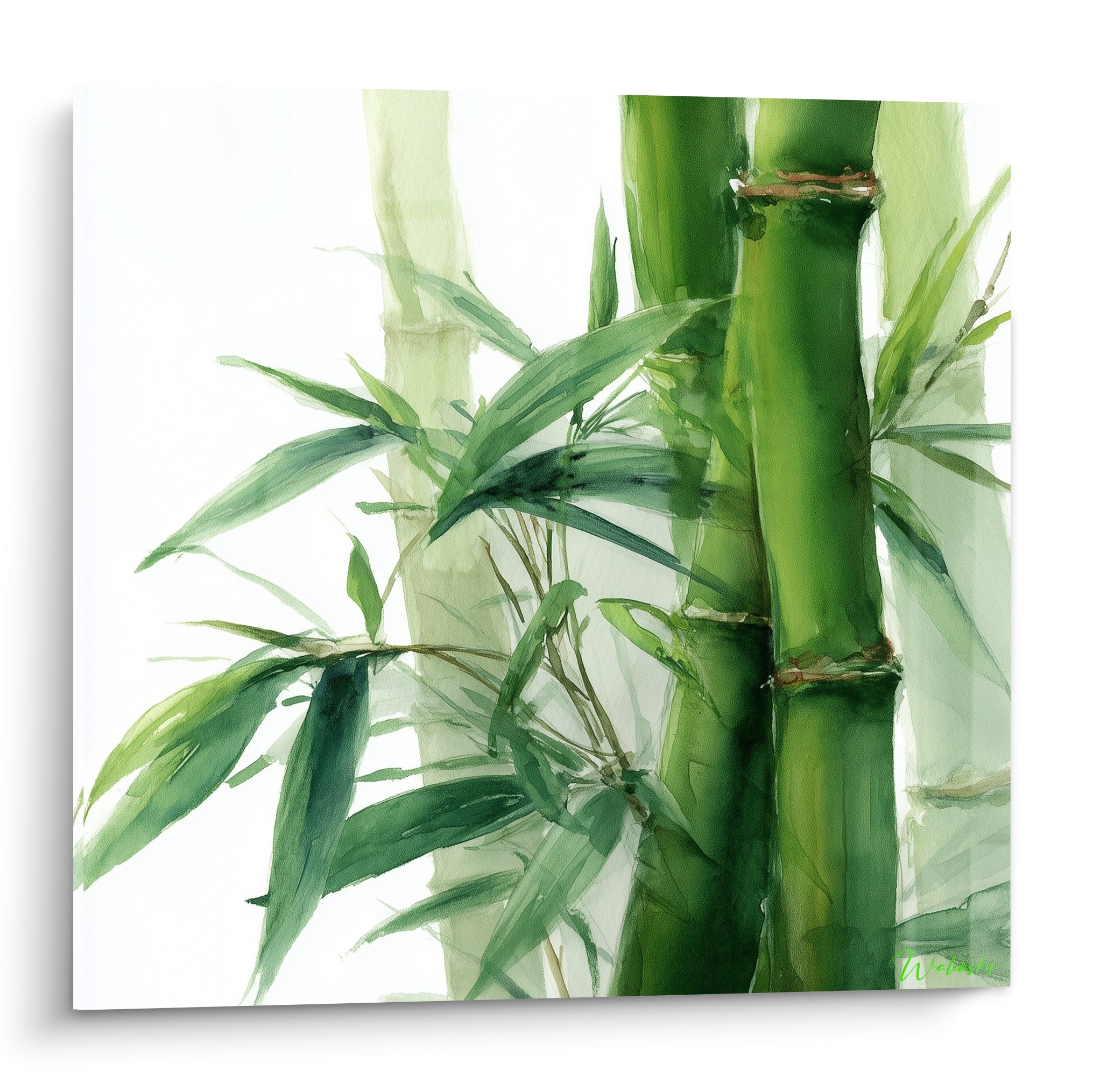Bambou vert et blanc aux tiges noueuses peintes à l'aquarelle sur fond immaculé
