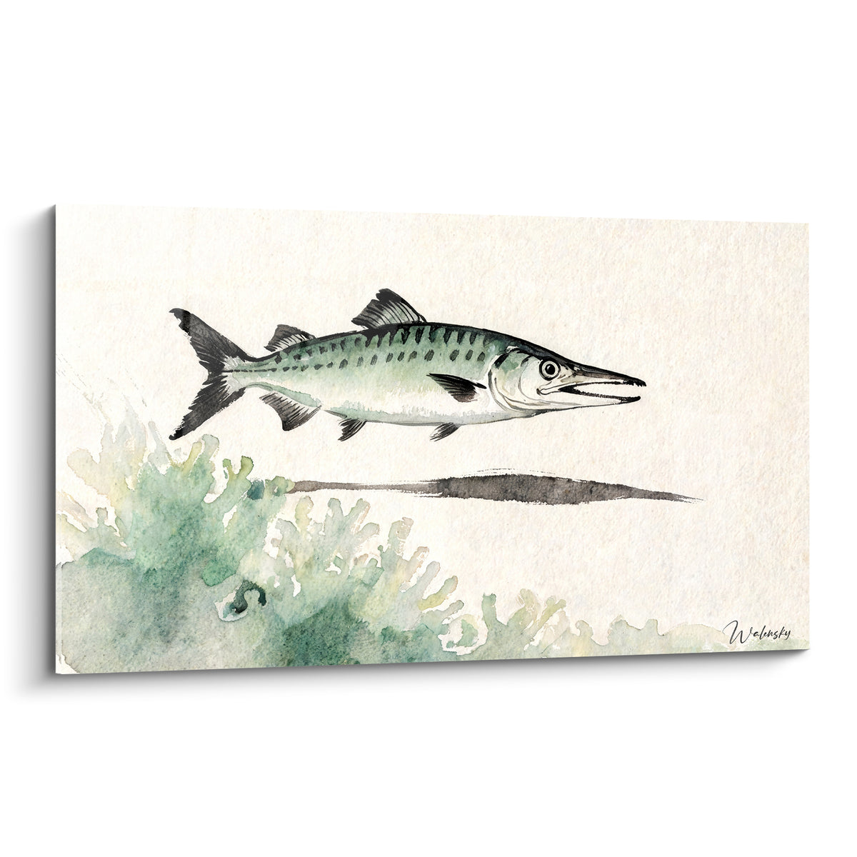 Barracuda vert sauge et anthracite glissant au-dessus de coraux ivoire, style aquarelle épuré