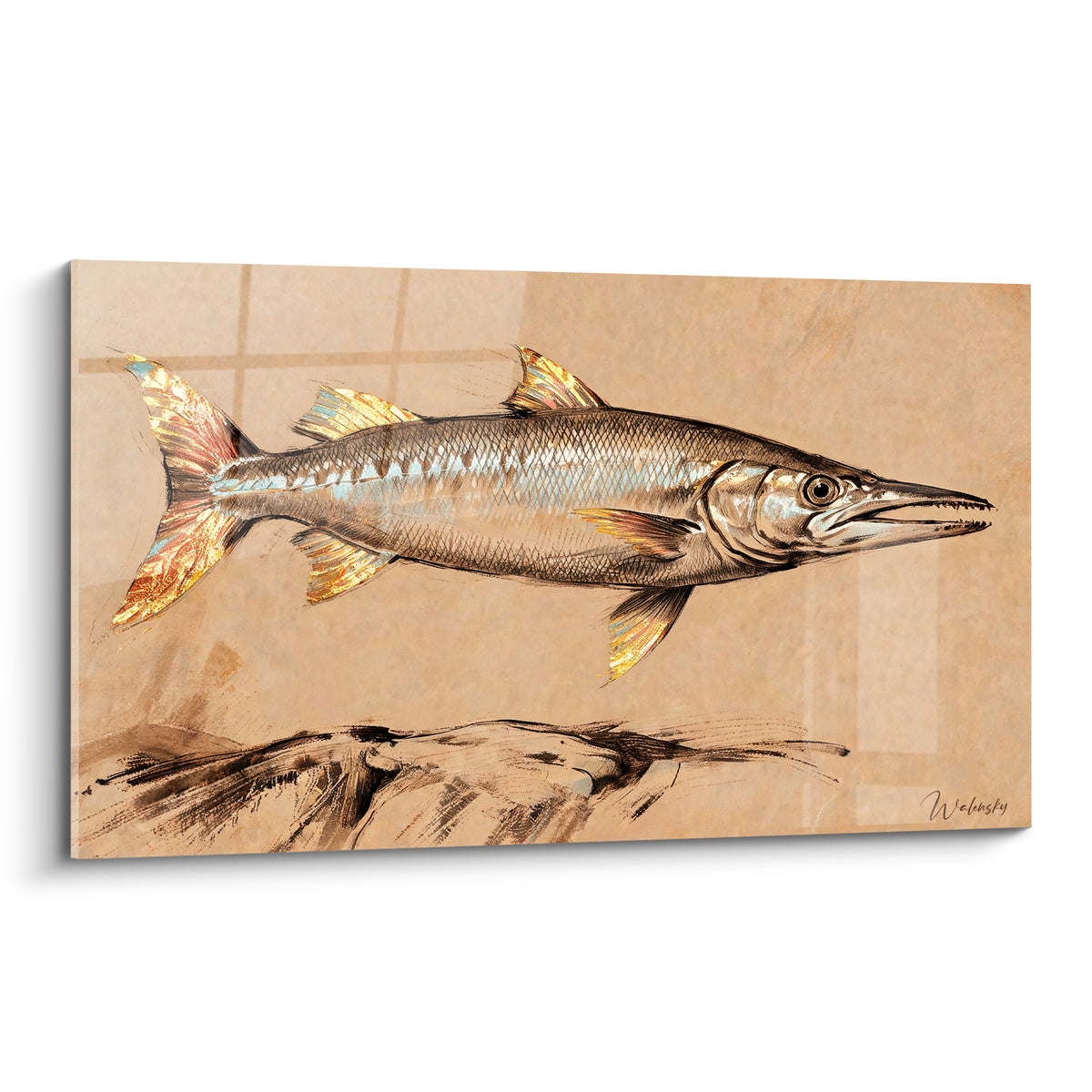 Barracuda argenté et doré représenté de profil sur fond beige sépia texturé