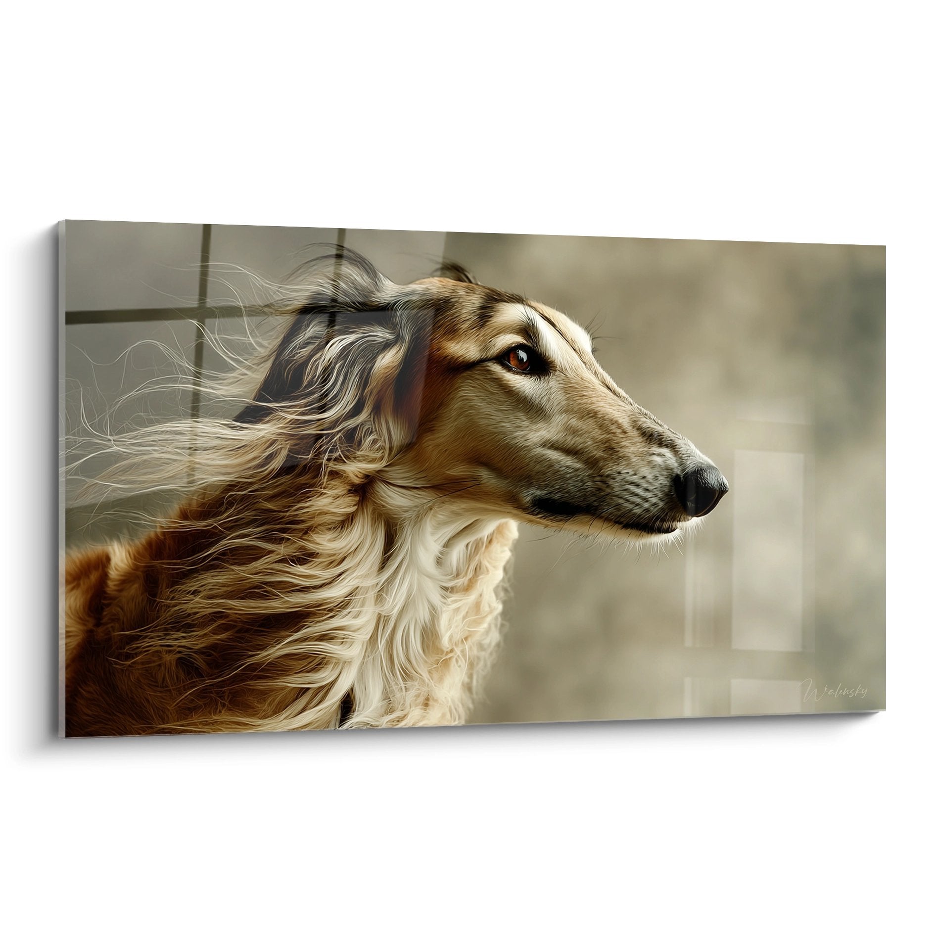 Portrait de Barzoi aux poils dorés flottants, regard contemplatif, fond beige artistique