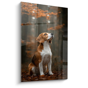 Obraz Beagle Siedzący w Odcieniach Jesiennych - Portret Kontemplacyjnego Psa - Edycja Obrazu Beagle