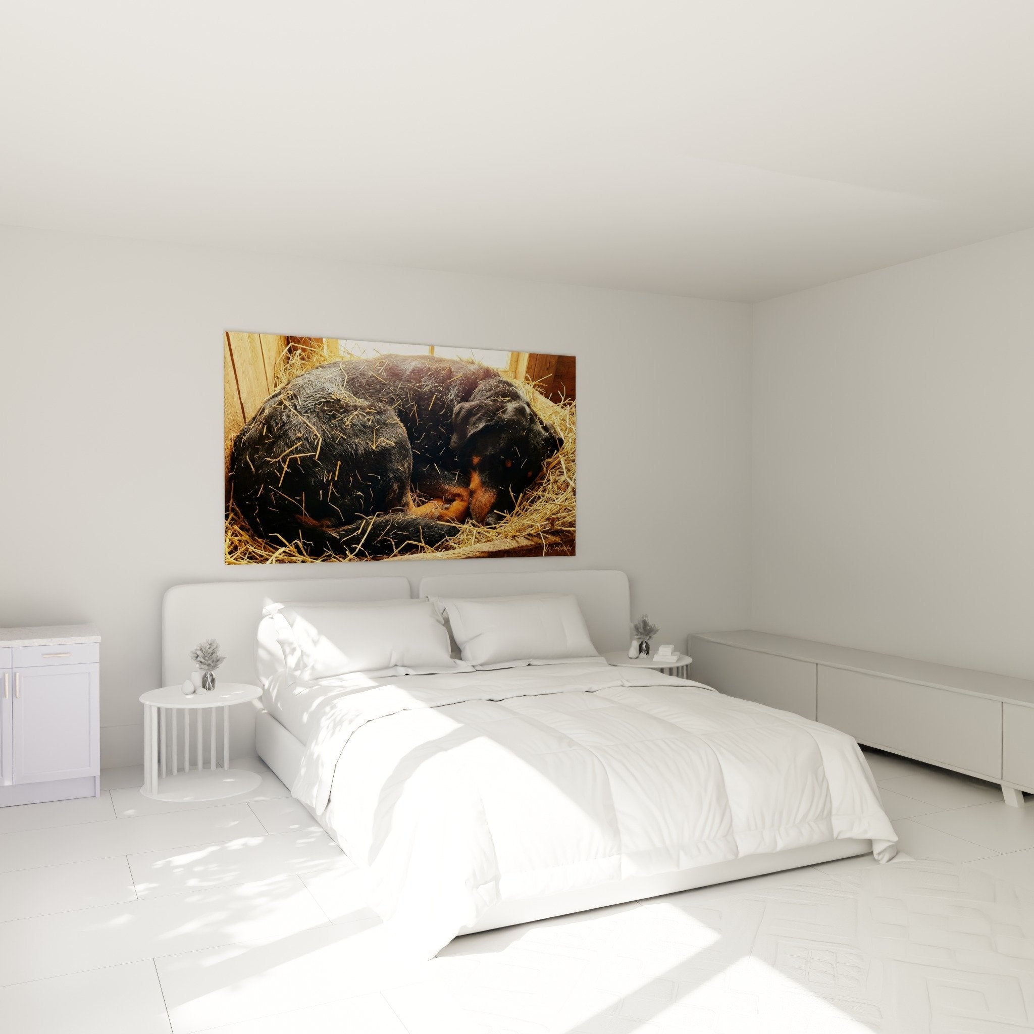 Tableau Beauceron endormi dans paille exposé au mur d'une chambre cosy aux tons naturels