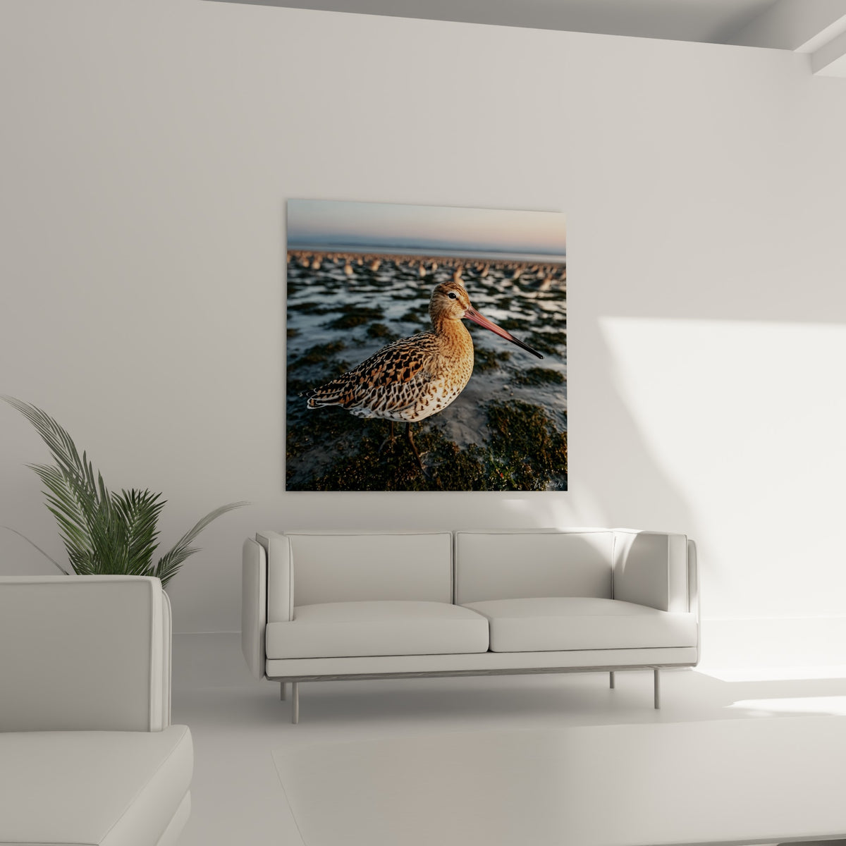 Plumage moucheté brun et blanc d'une bécasse au-dessus d'un canapé dans un salon lumineux