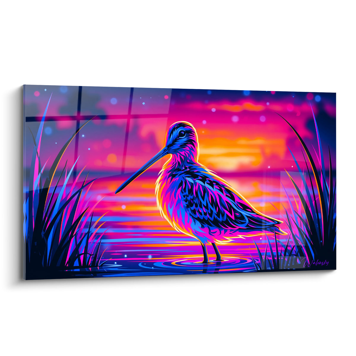 Bécasse bleu et rose fuchsia debout dans l'eau, plumage détaillé sous un ciel orange incandescent