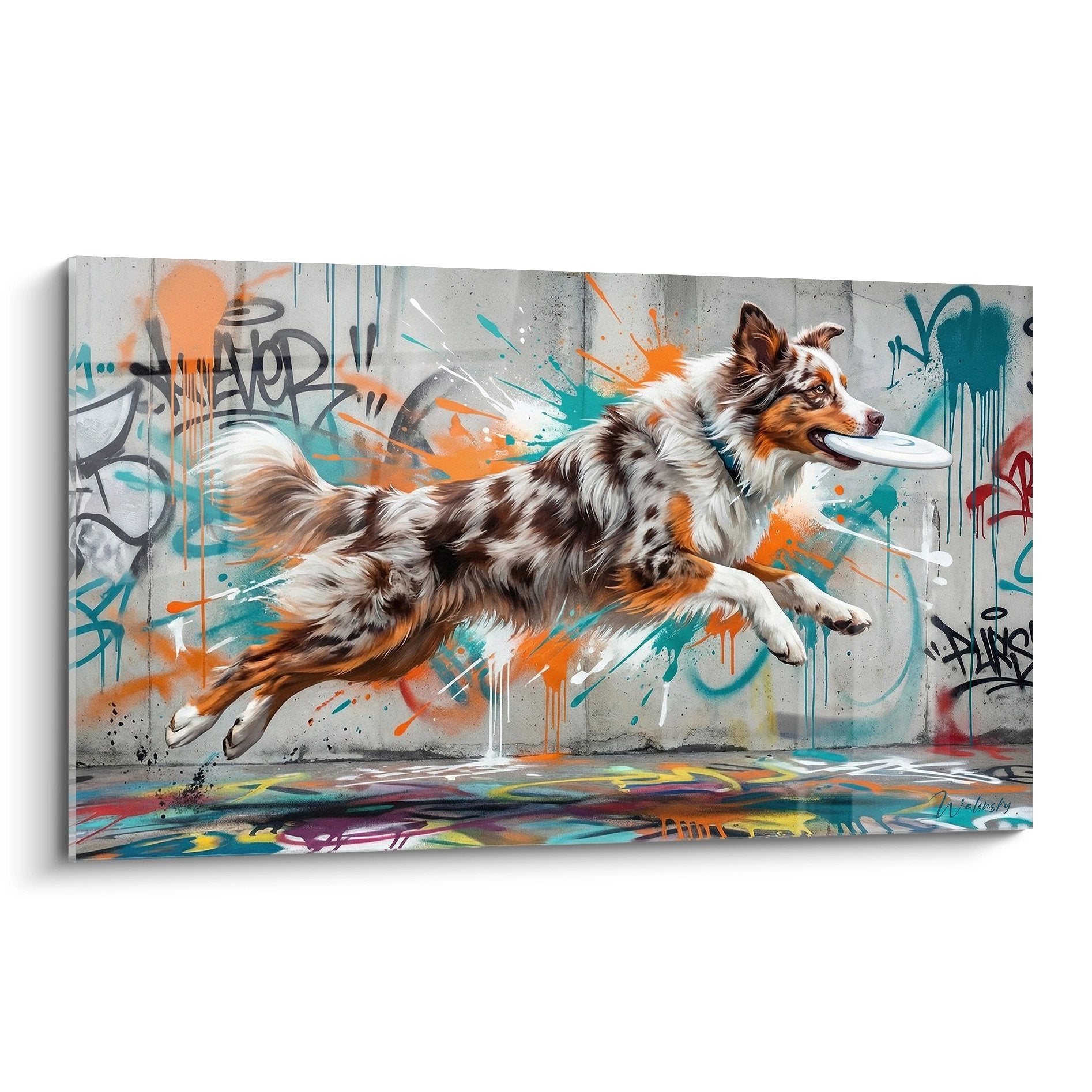 Australischer Schäferhund springend vor orange und türkisen urbanen Graffitis auf Street-Art-Wand