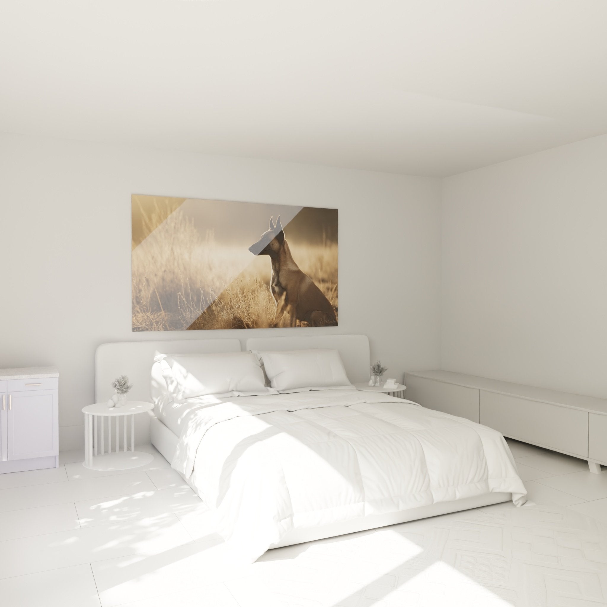 Tableau Berger Belge Malinois coucher de soleil dans chambre moderne avec décoration naturelle