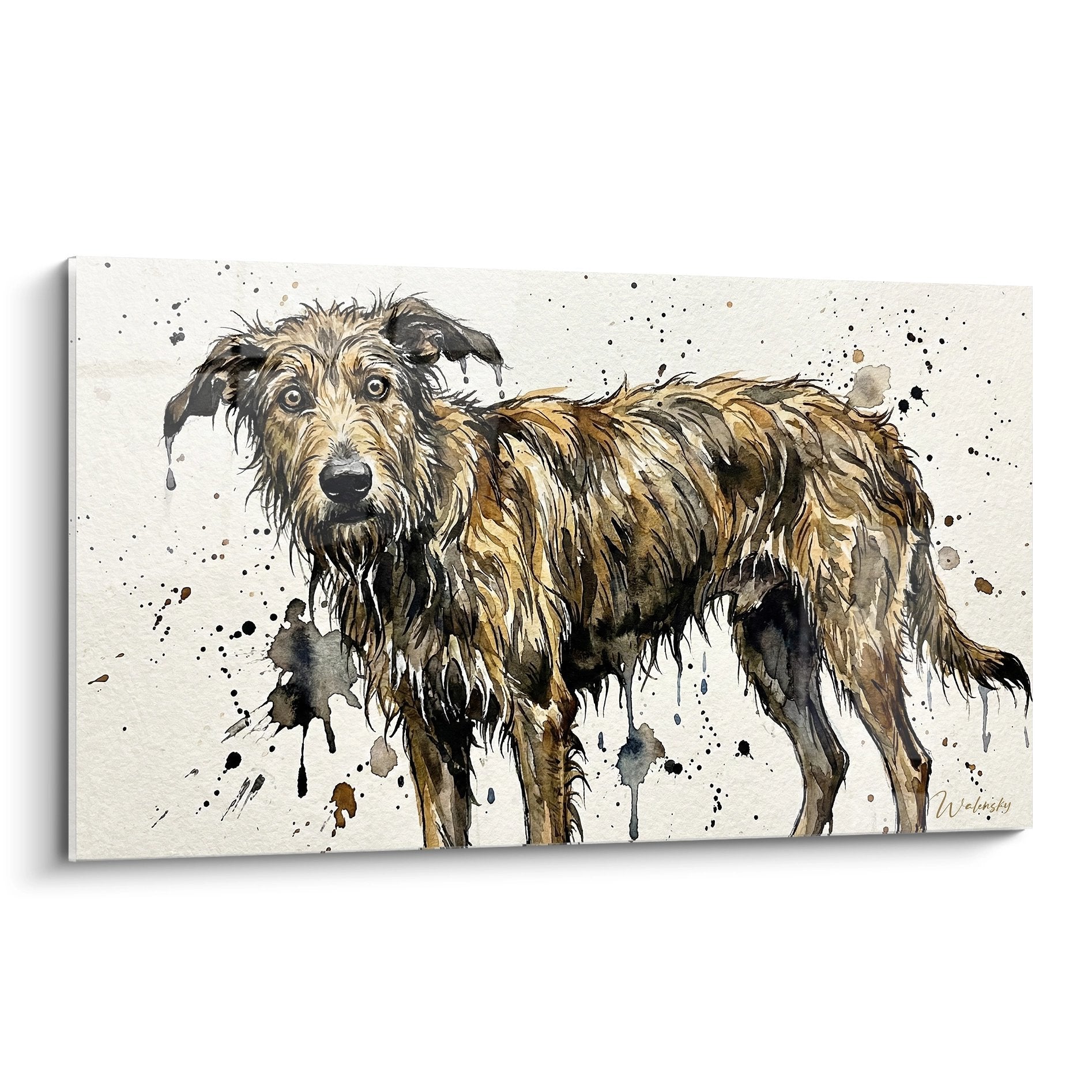 Tableau aquarelle Berger Picard trempé aux tons ocre et bruns avec éclaboussures artistiques sur fond beige