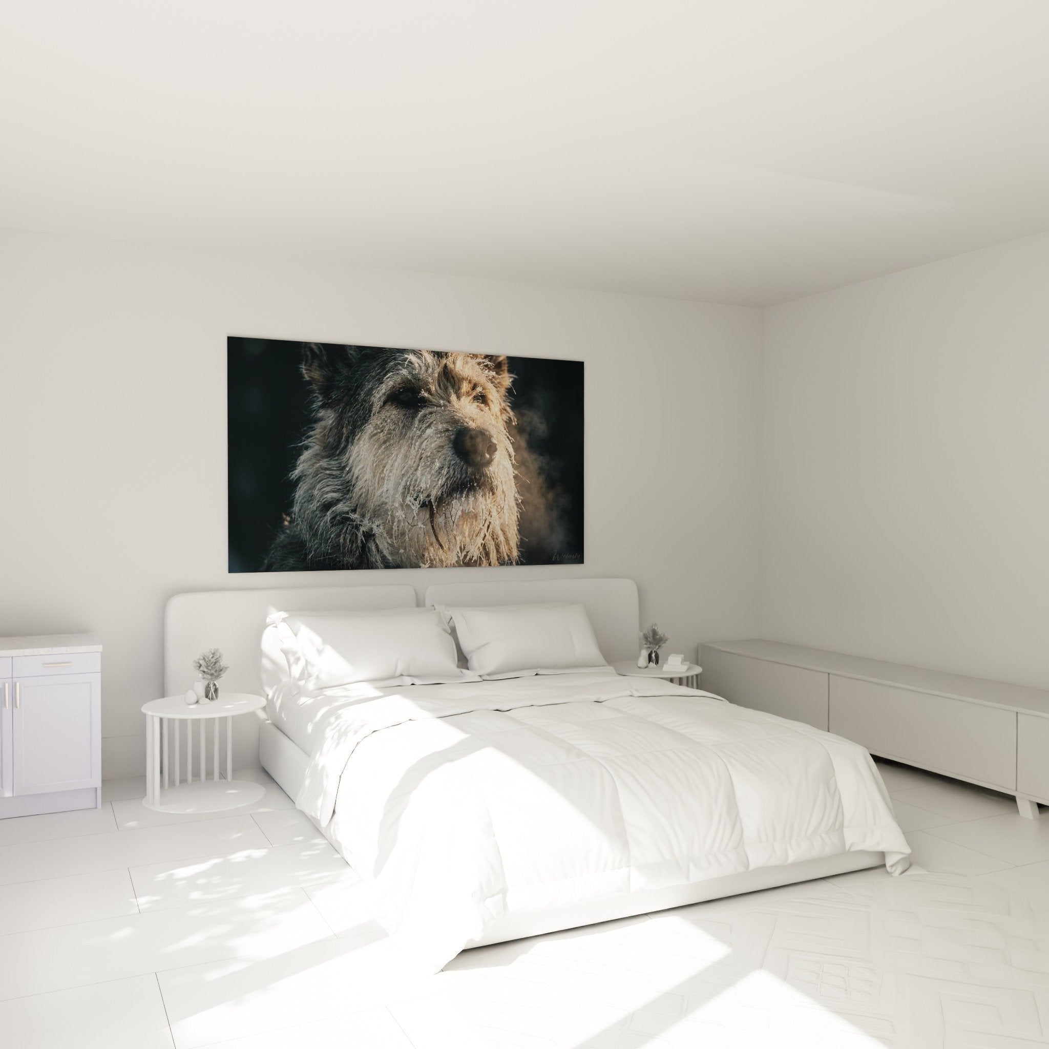 Tableau Berger Picard gris dans chambre décoration murale chien berger ambiance chaleureuse
