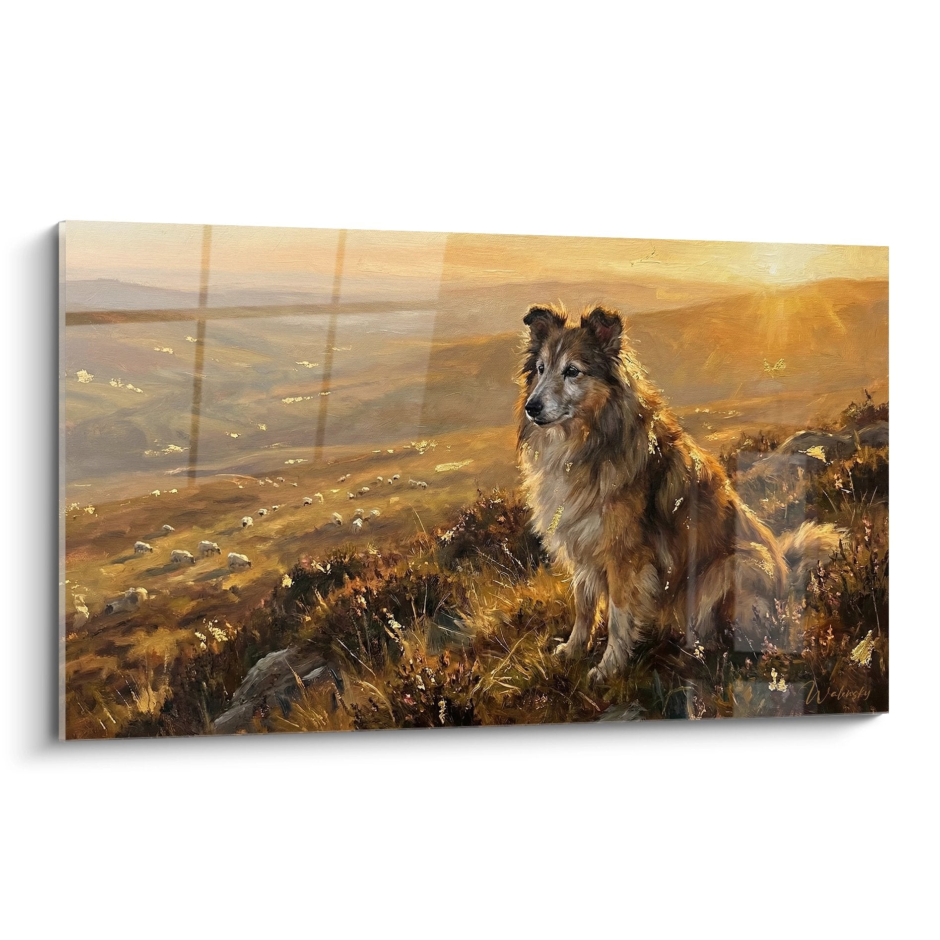 Tableau Berger des Shetland tricolore sur colline au coucher soleil tons dores paysage landes moutons