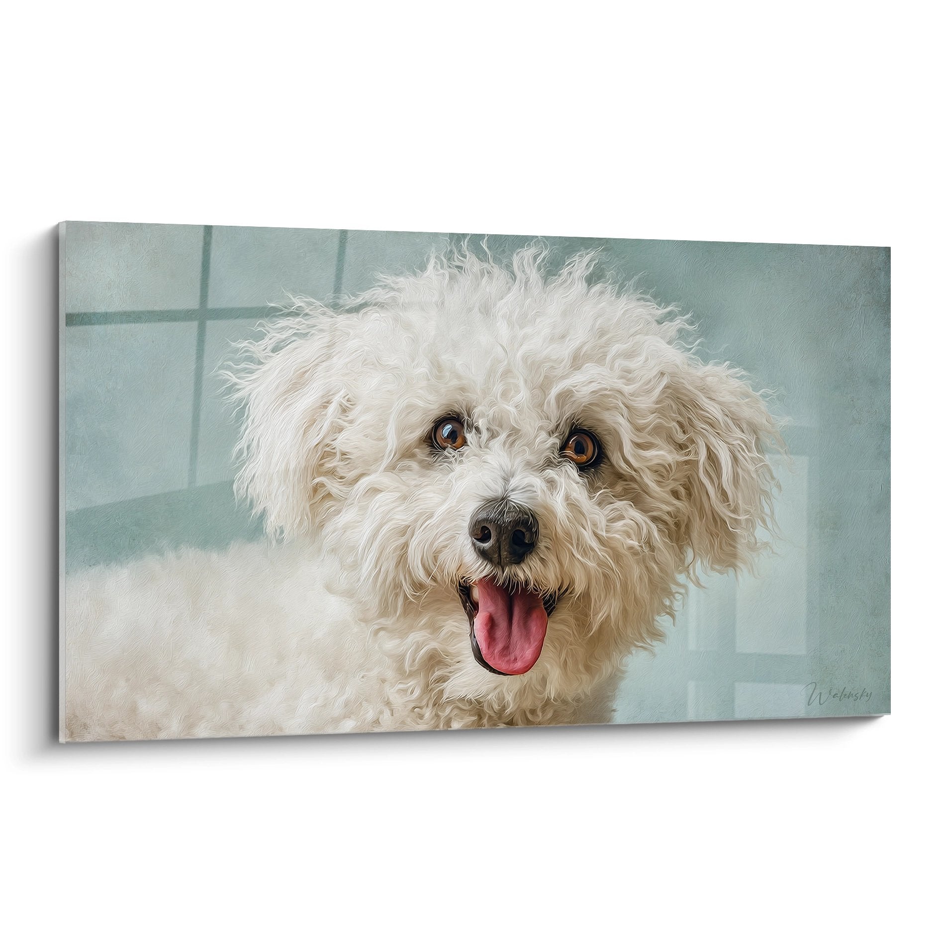 Porträt eines lächelnden Bichon Frisé mit goldenen Augen, weißes lockiges Fell auf pastellblauem Hintergrund, fröhlicher Ausdruck