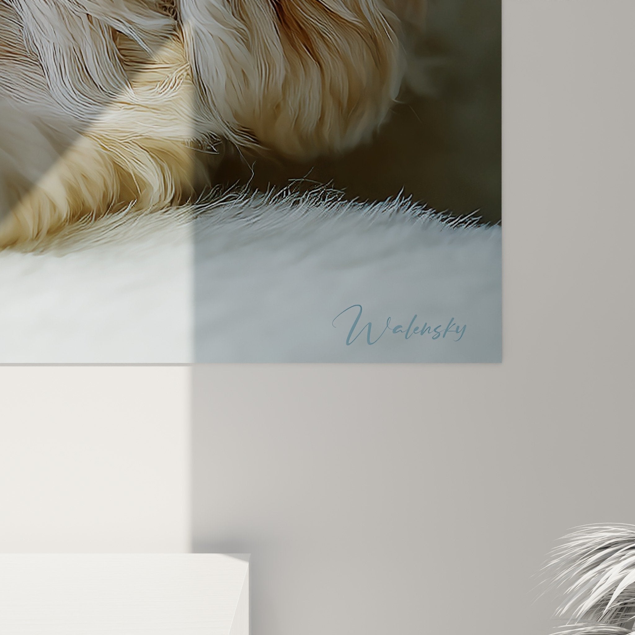 Vue d'ensemble du tableau portrait Bichon Havanais dans un intérieur contemporain aux couleurs douces