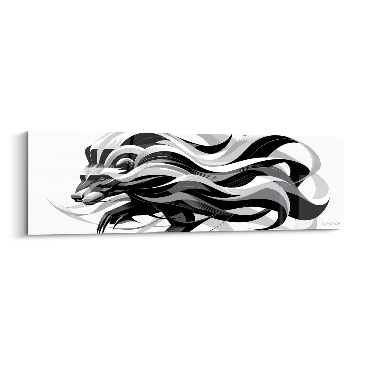 Blaireau noir et blanc en pleine course, mèches fluides et gris argenté tourbillonnants