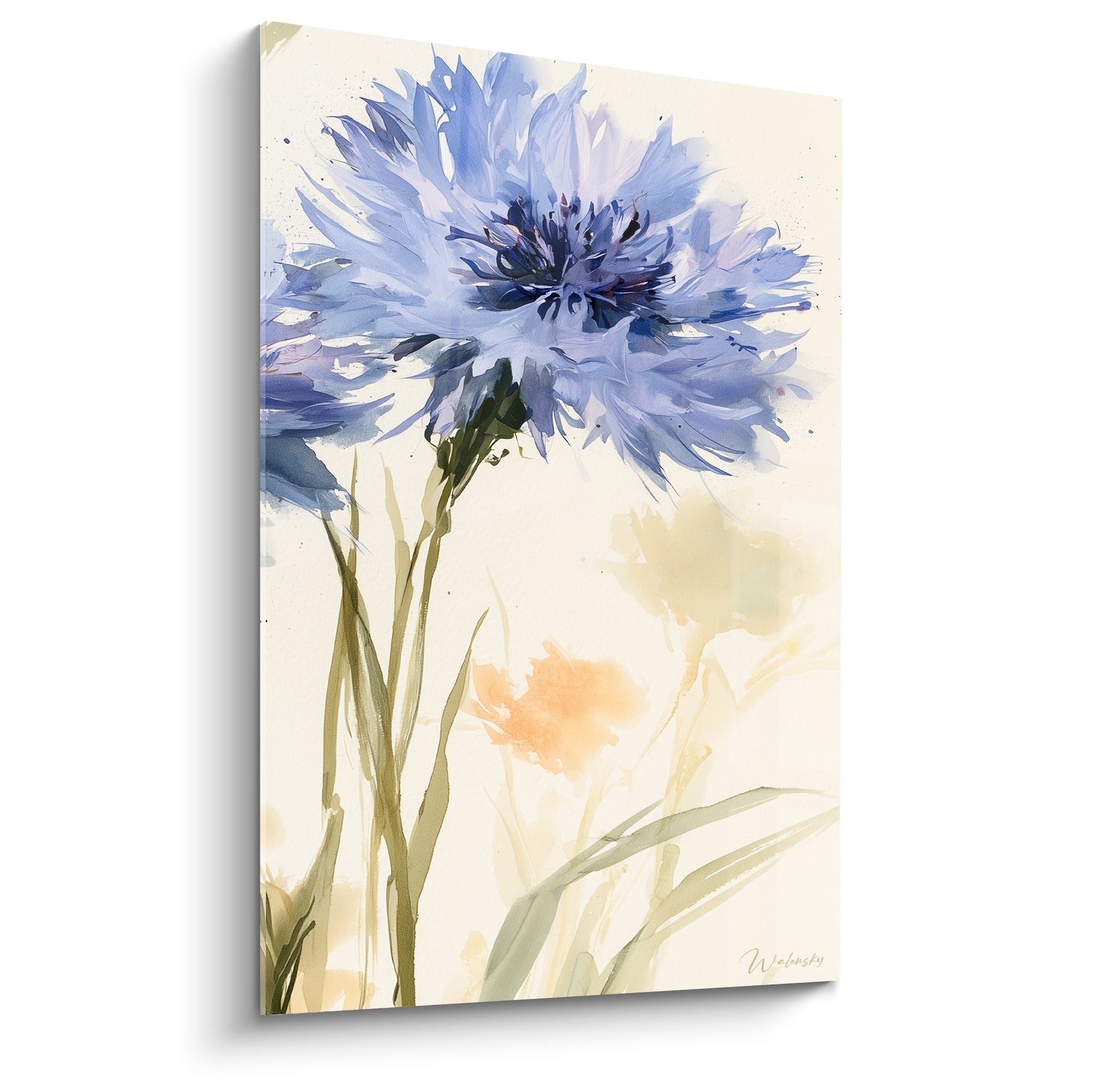 Bleuet aux pétales bleu marine et ivoire, technique aquarelle, tiges vertes fines et éclaboussures orangées