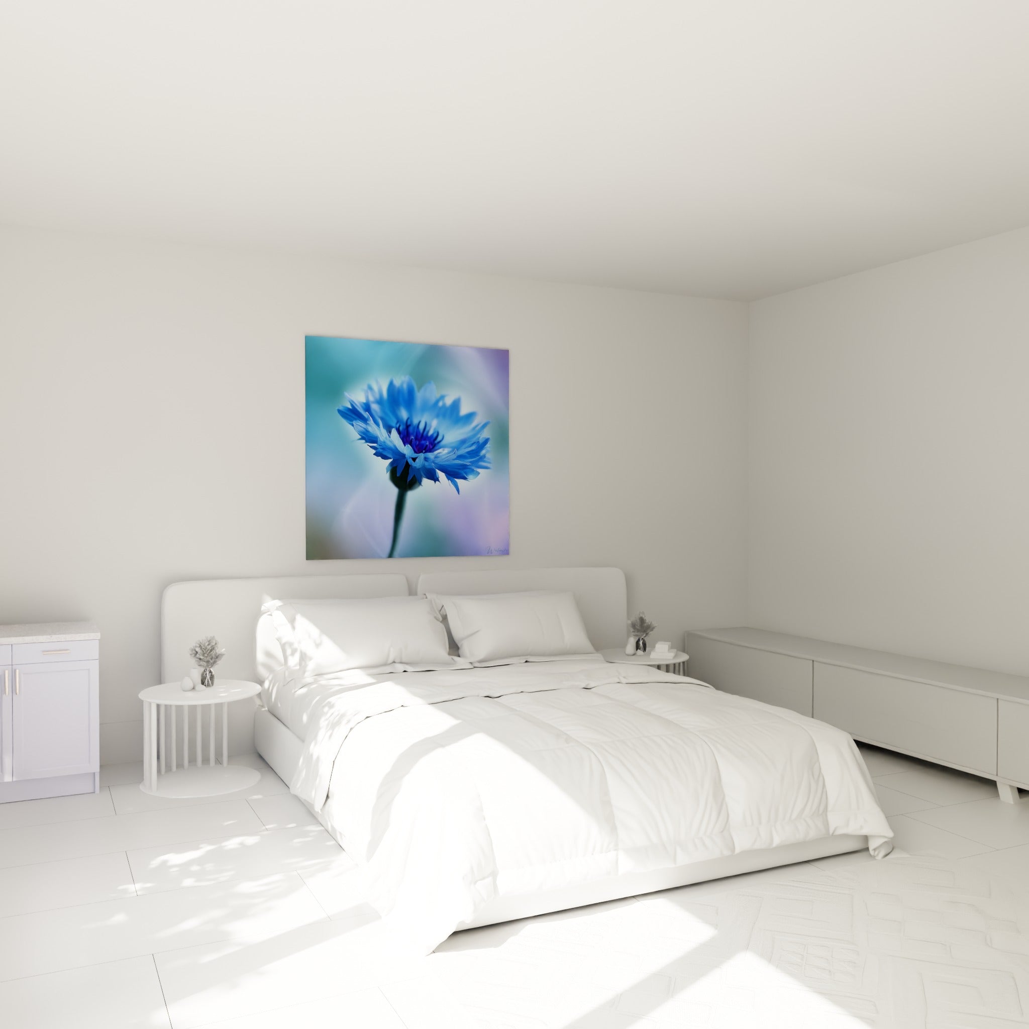 Fleur de bleuet bleu électrique et mauve suspendue au-dessus d'un lit dans une chambre claire