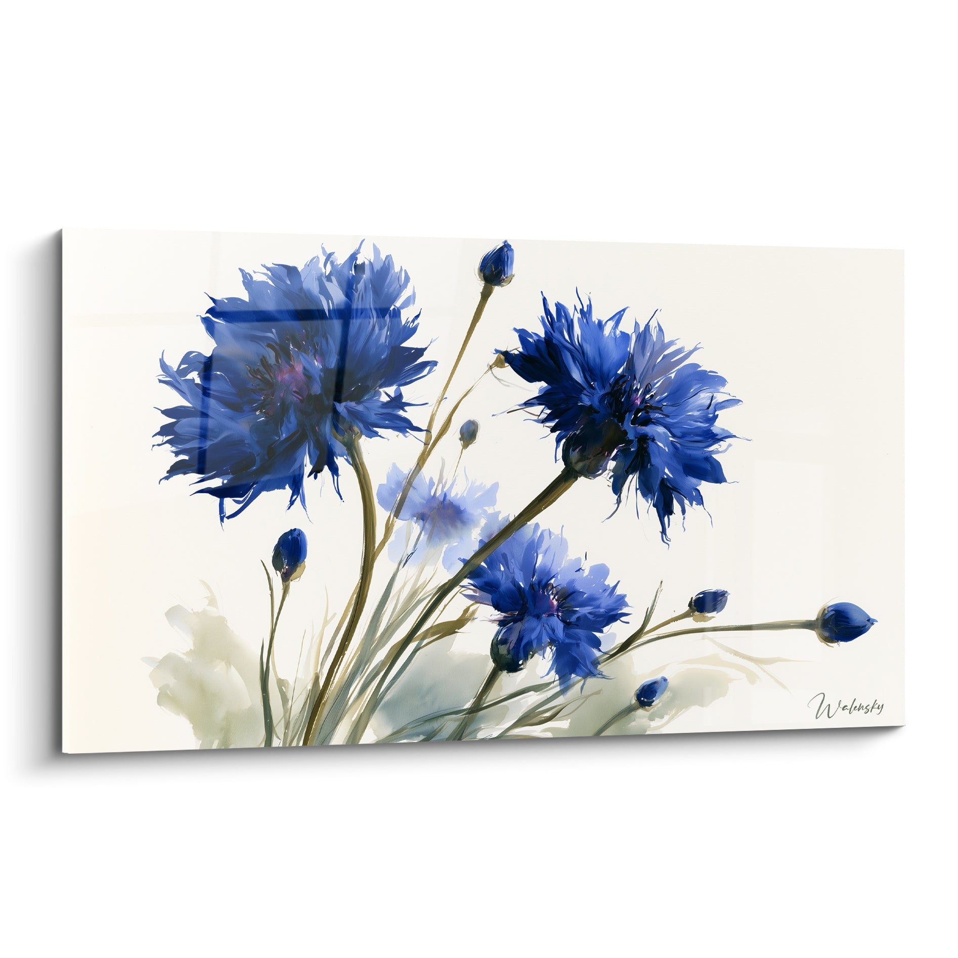 Bleuets bleu marine aux pétales effilochés peints à l'aquarelle sur fond ivoire lumineux