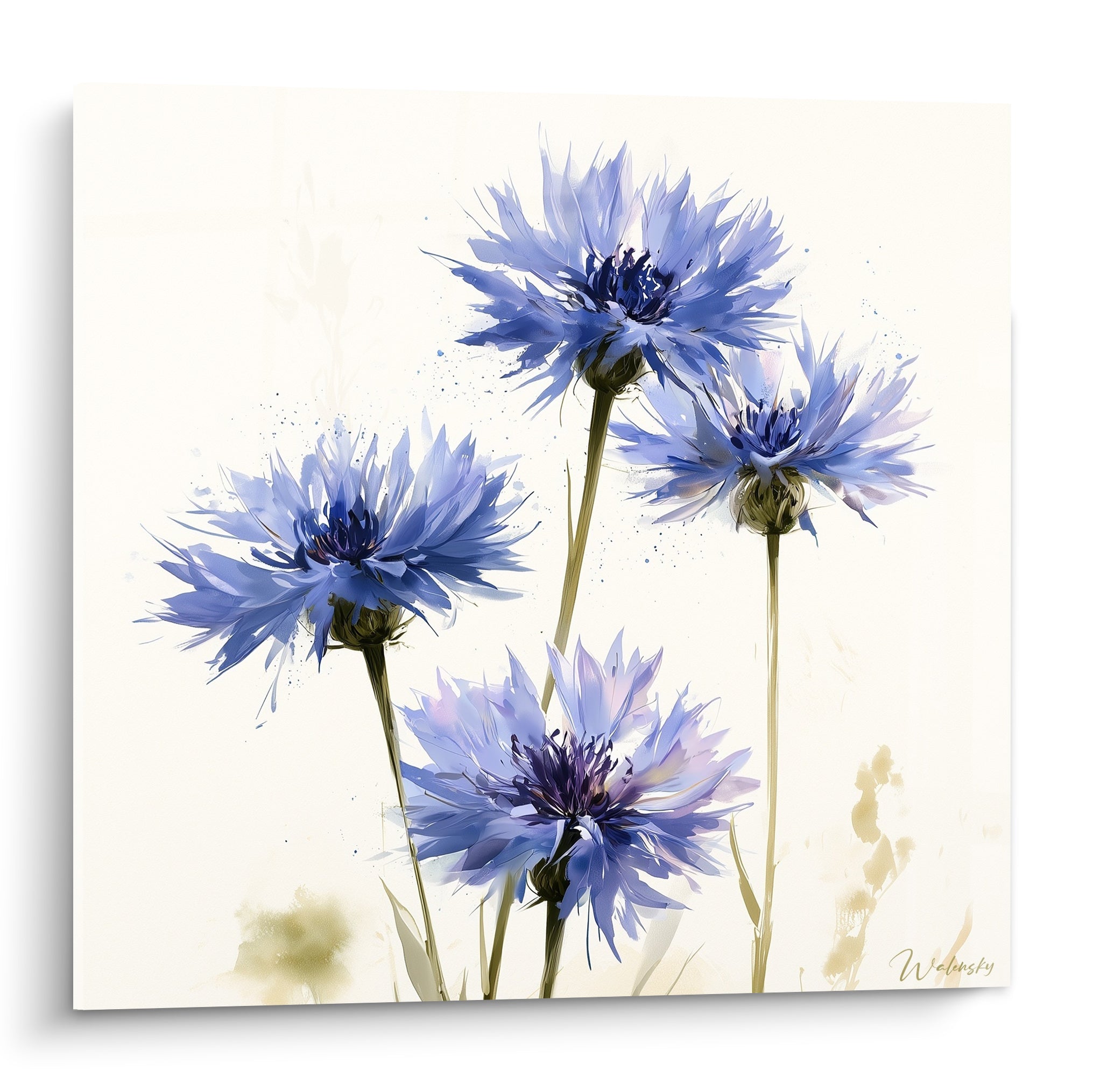 Bleuets bleu marine et ivoire aux pétales effilés, composition florale délicate en aquarelle