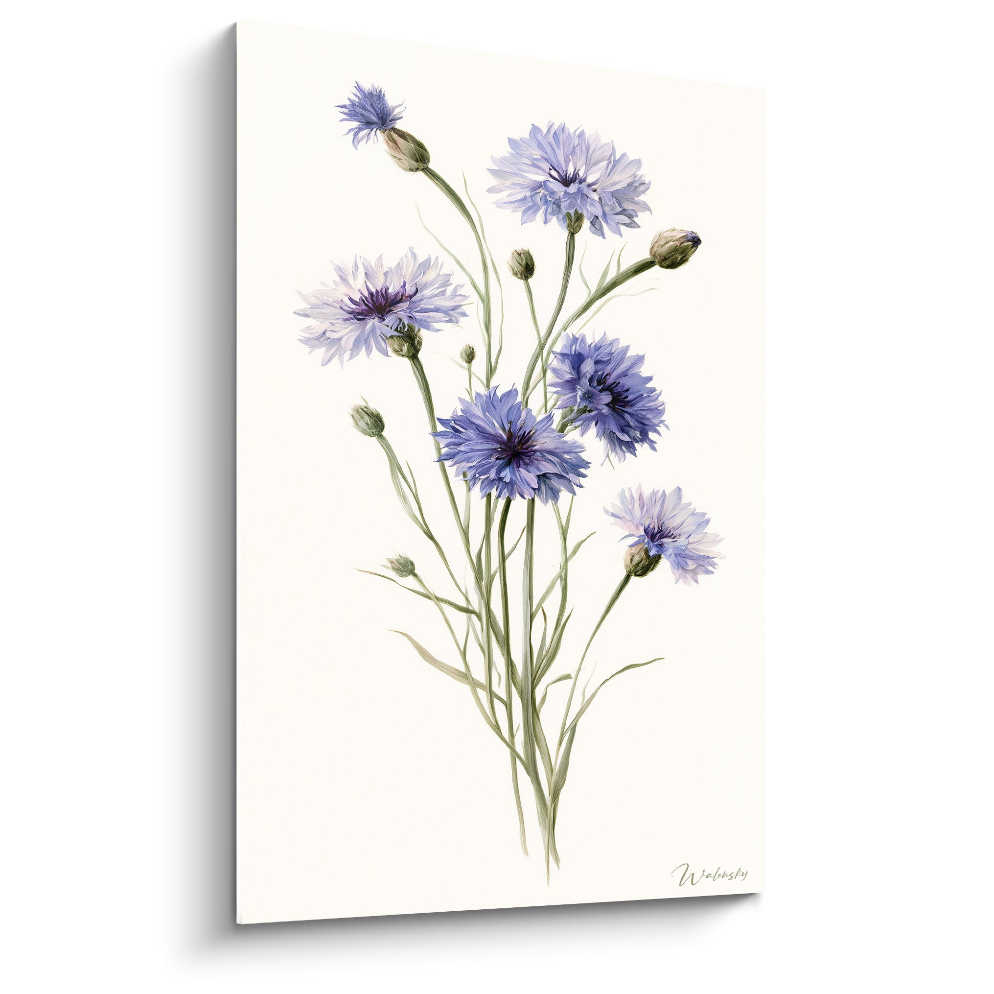 Bleuets bleu-mauve et tiges vert olive peints sur fond ivoire, style aquarelle botanique fine