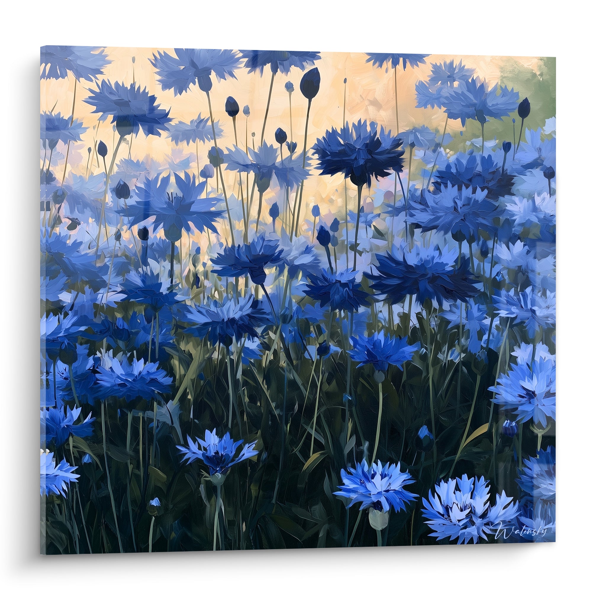 Bleuets bleu marine et doré peints en larges touches, champ dense sous lumière chaude du soir