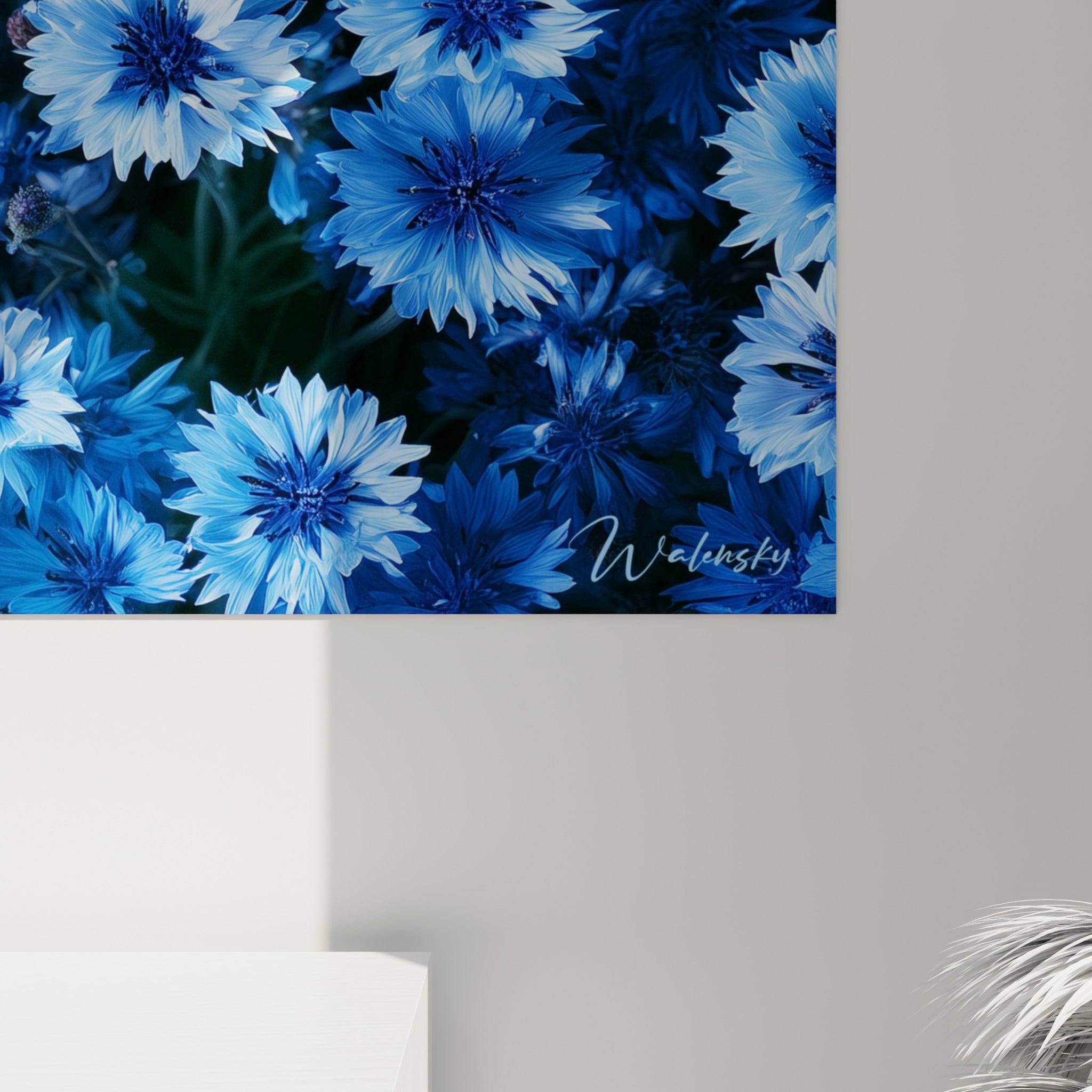 Détail des pétales de bleuet bleu marine et bleu pastel, grain fin et cœurs sombres qui se touchent