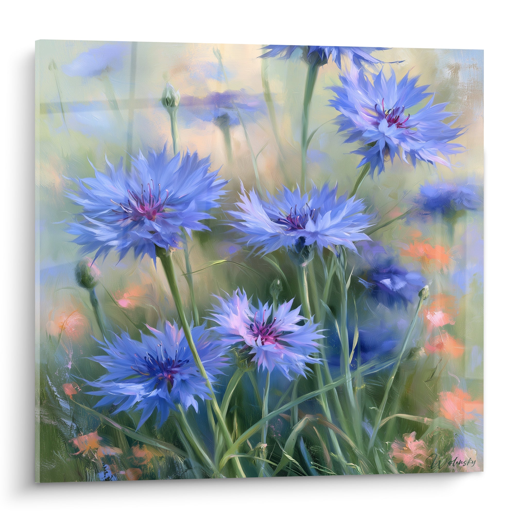 Bleuets bleu pastel et rose pourpre en pleine floraison sur fond flouté doré et vert