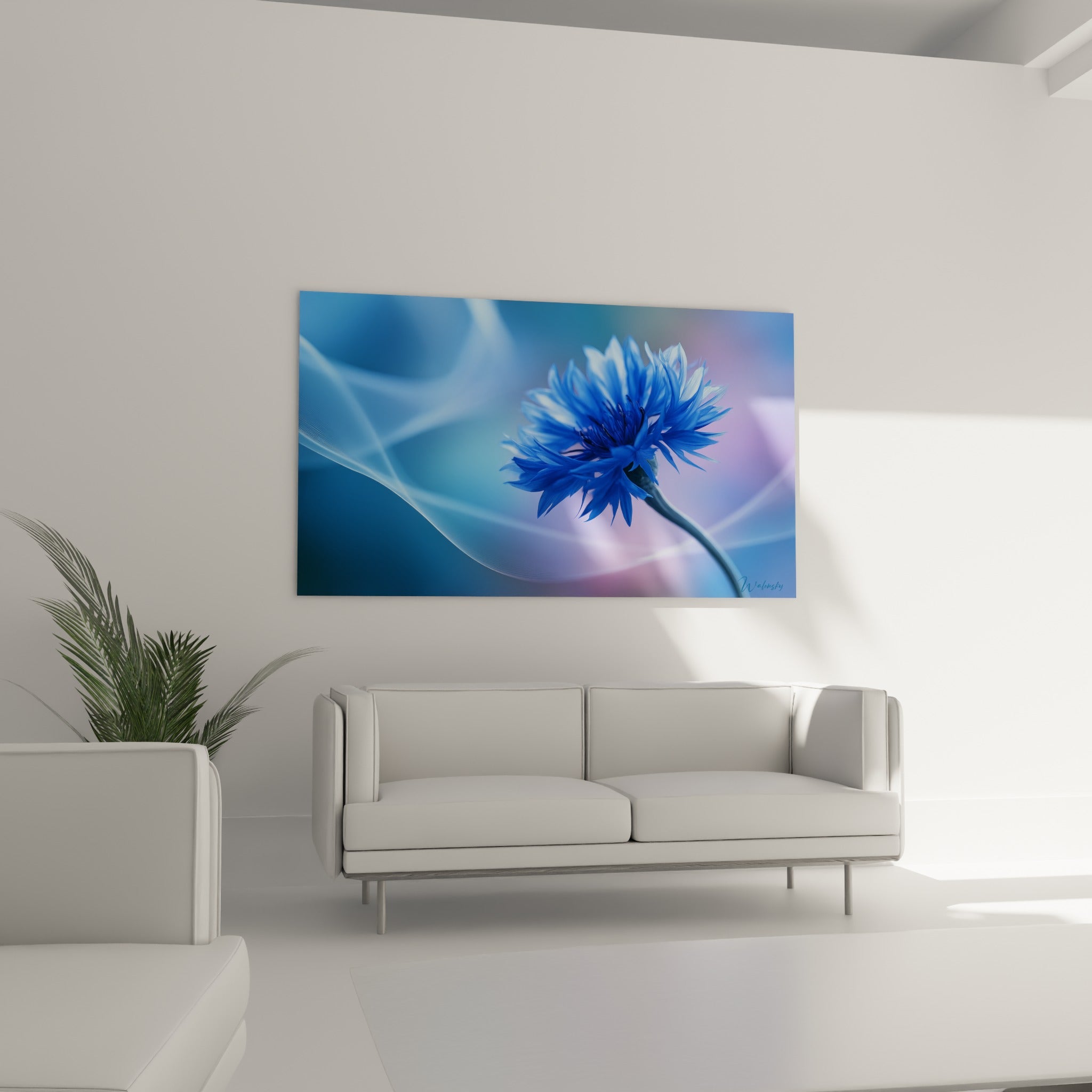 Pétales bleu profond du bleuet contrastant avec un fond mauve, au-dessus d'un canapé dans un salon lumineux