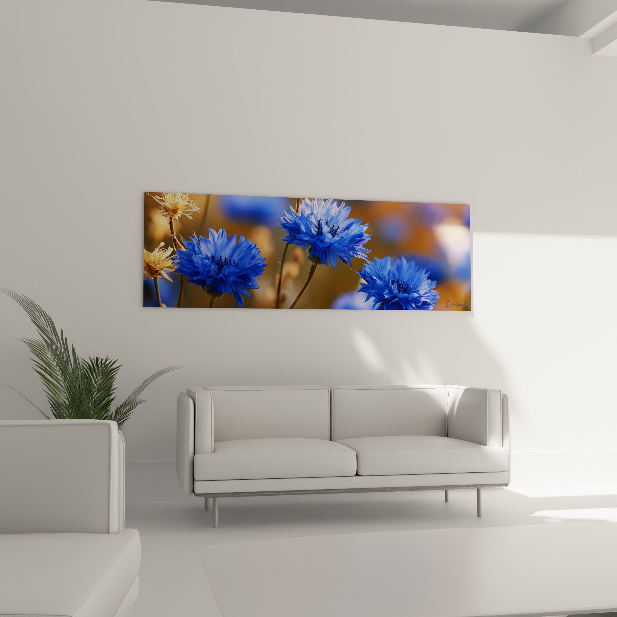 Fleurs de bleuet bleu intense et fond ambré au-dessus d'un canapé dans un salon lumineux