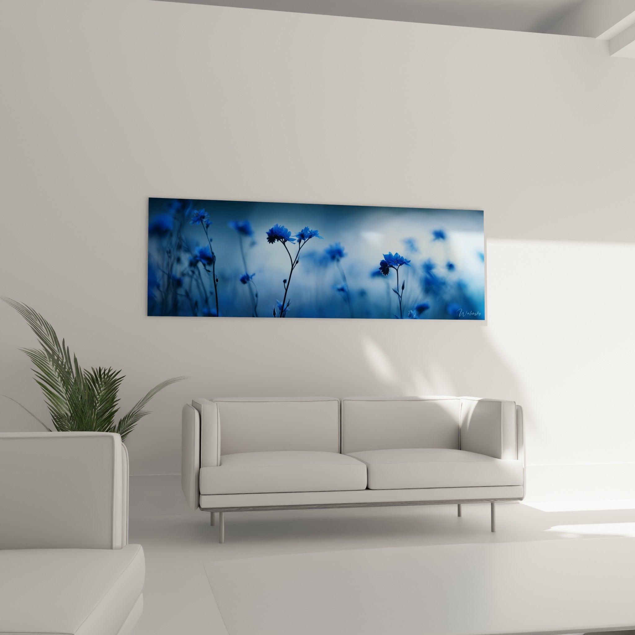 Tiges de bleuet bleu marine sur fond brumeux, placées au-dessus d'un canapé dans un salon lumineux