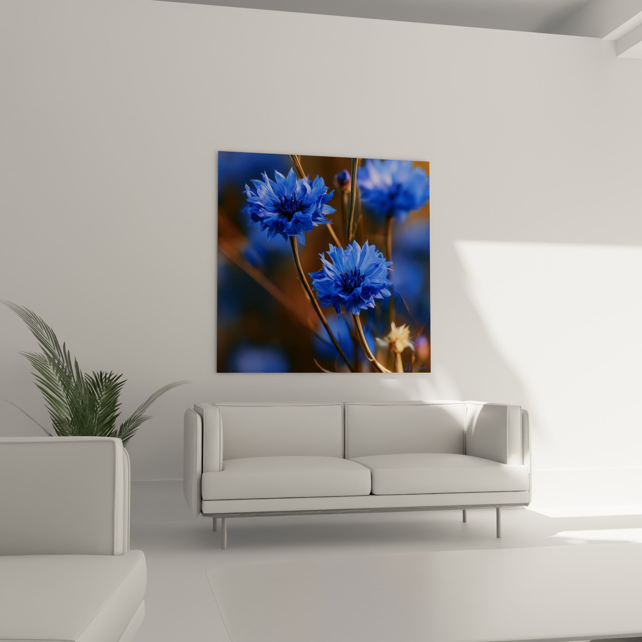 Fleurs de bleuet bleu roi et fond orangé au-dessus d'un canapé dans un salon lumineux