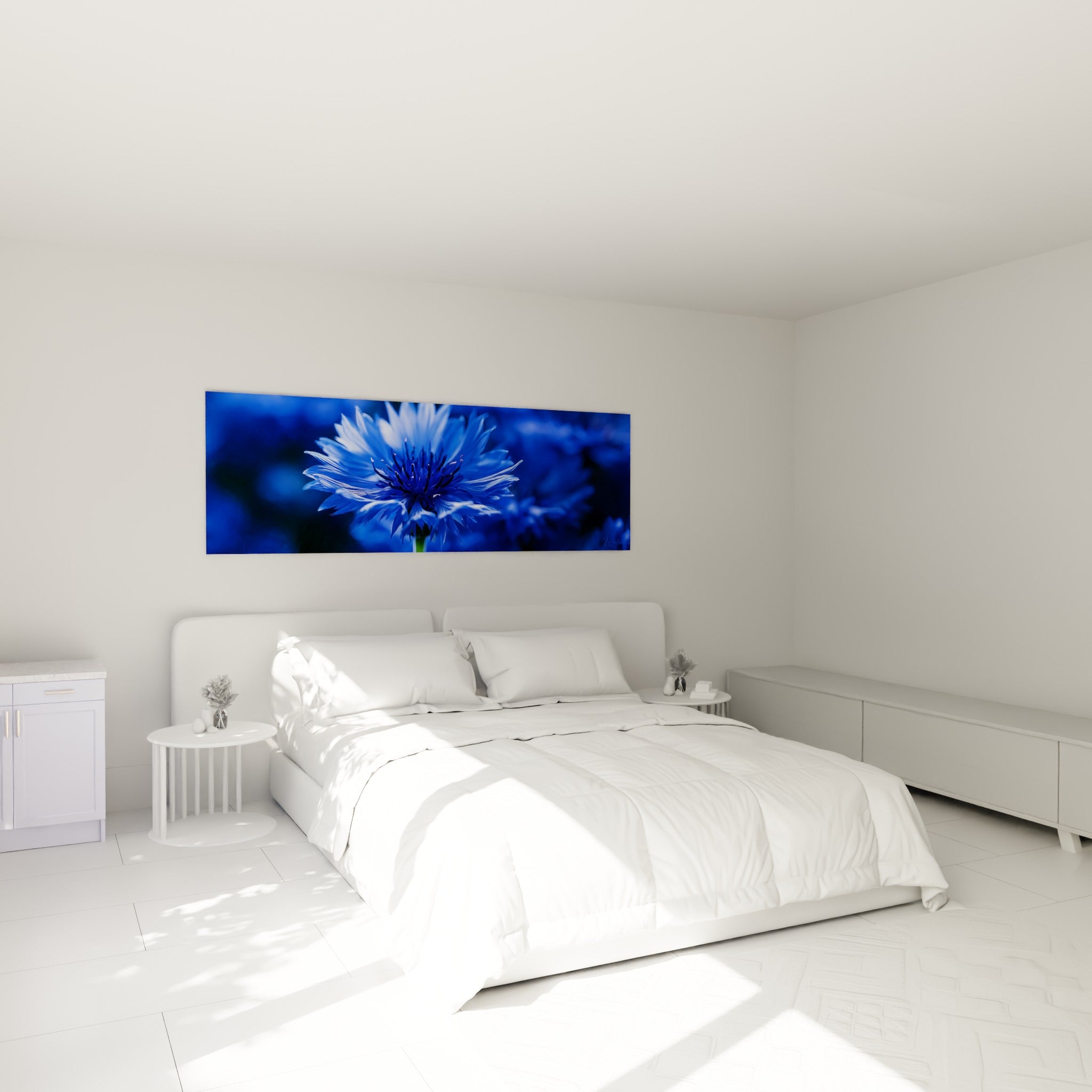 Pétales bleutés du bleuet déployés en éventail au-dessus d'un lit dans une chambre claire