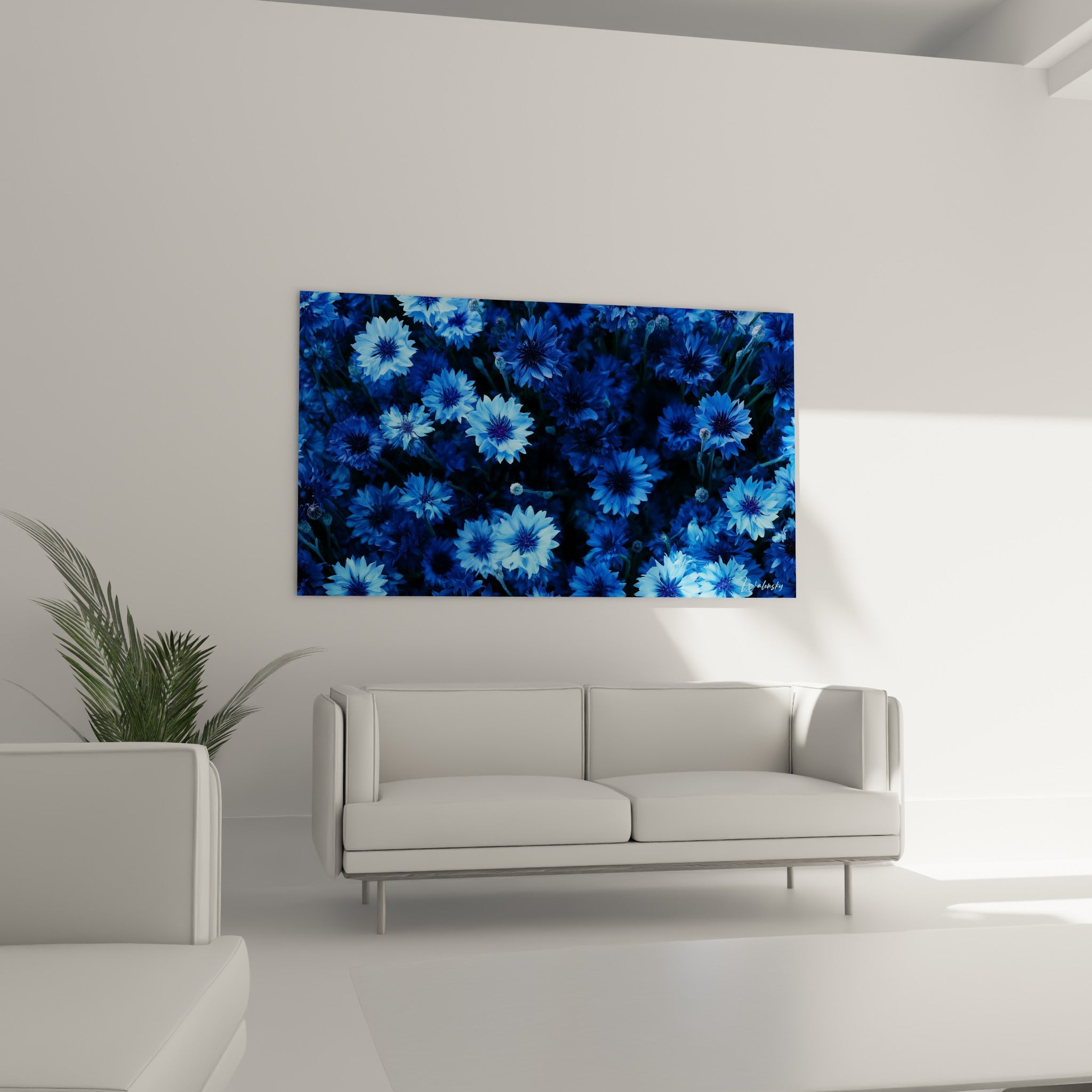 Champ de bleuets azur et bleu profond au-dessus d'un canapé dans un salon lumineux