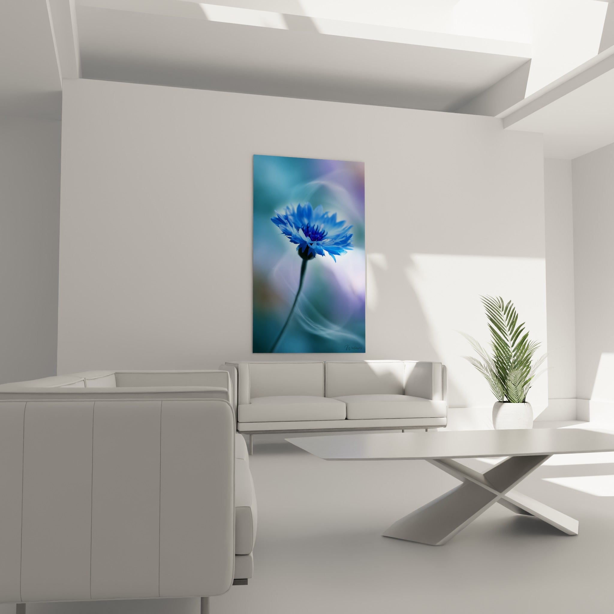 Pétales bleu et violet du bleuet au-dessus d'un canapé dans un salon lumineux et épuré