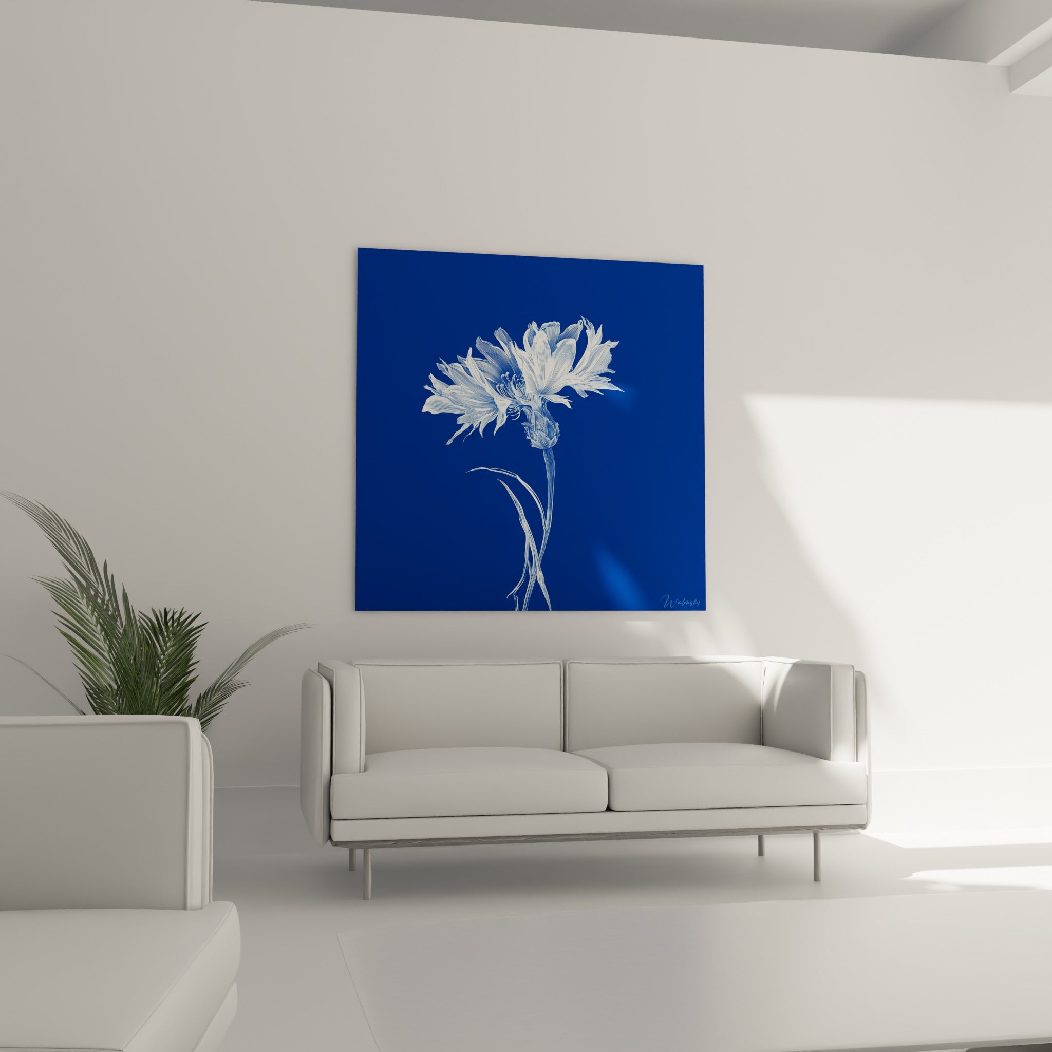 Tige et pétales blancs du bleuet contrastant sur bleu marine, au-dessus d'un canapé dans un salon lumineux