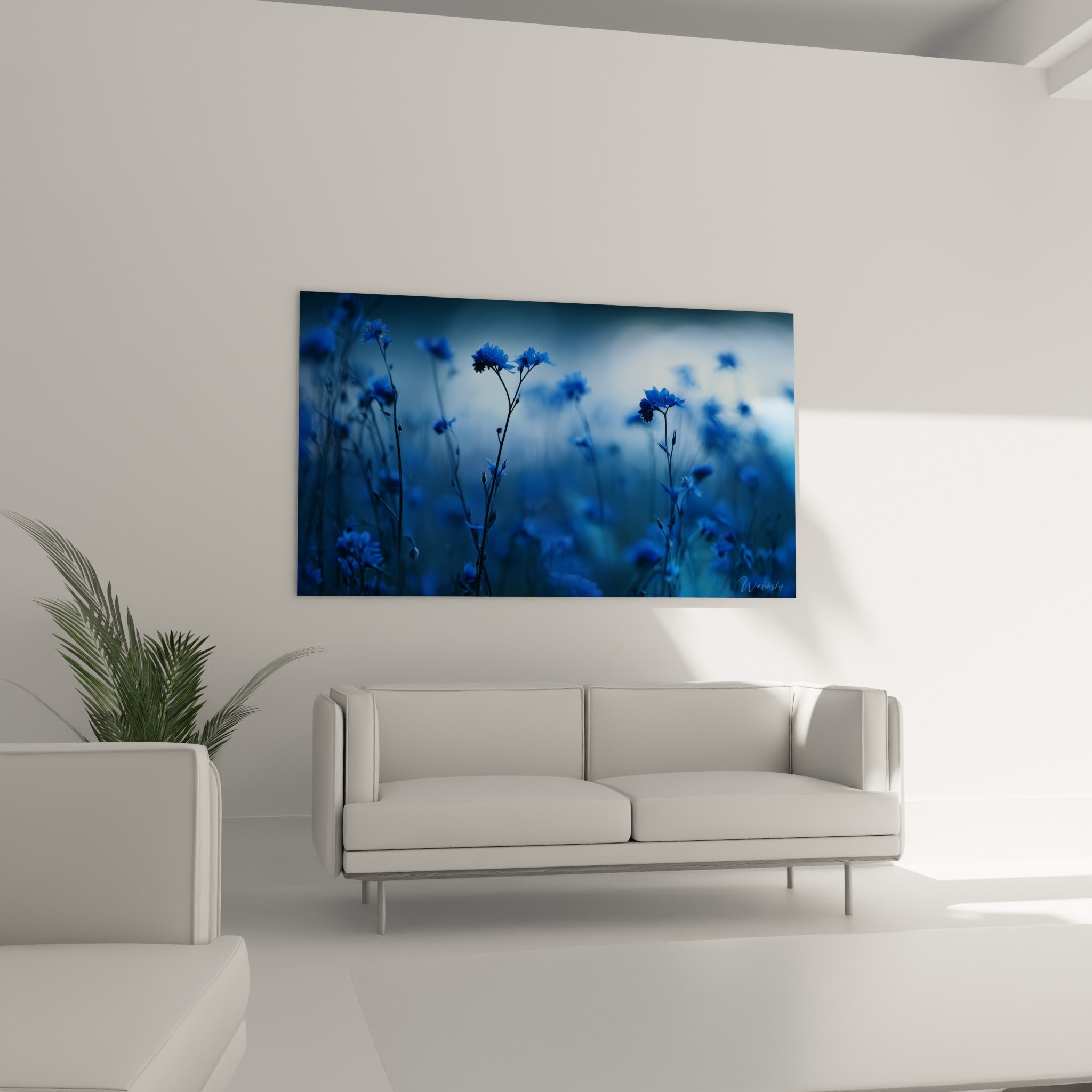 Tiges de bleuet bleu marine et bleu clair en pleine floraison au-dessus d'un canapé dans un salon lumineux