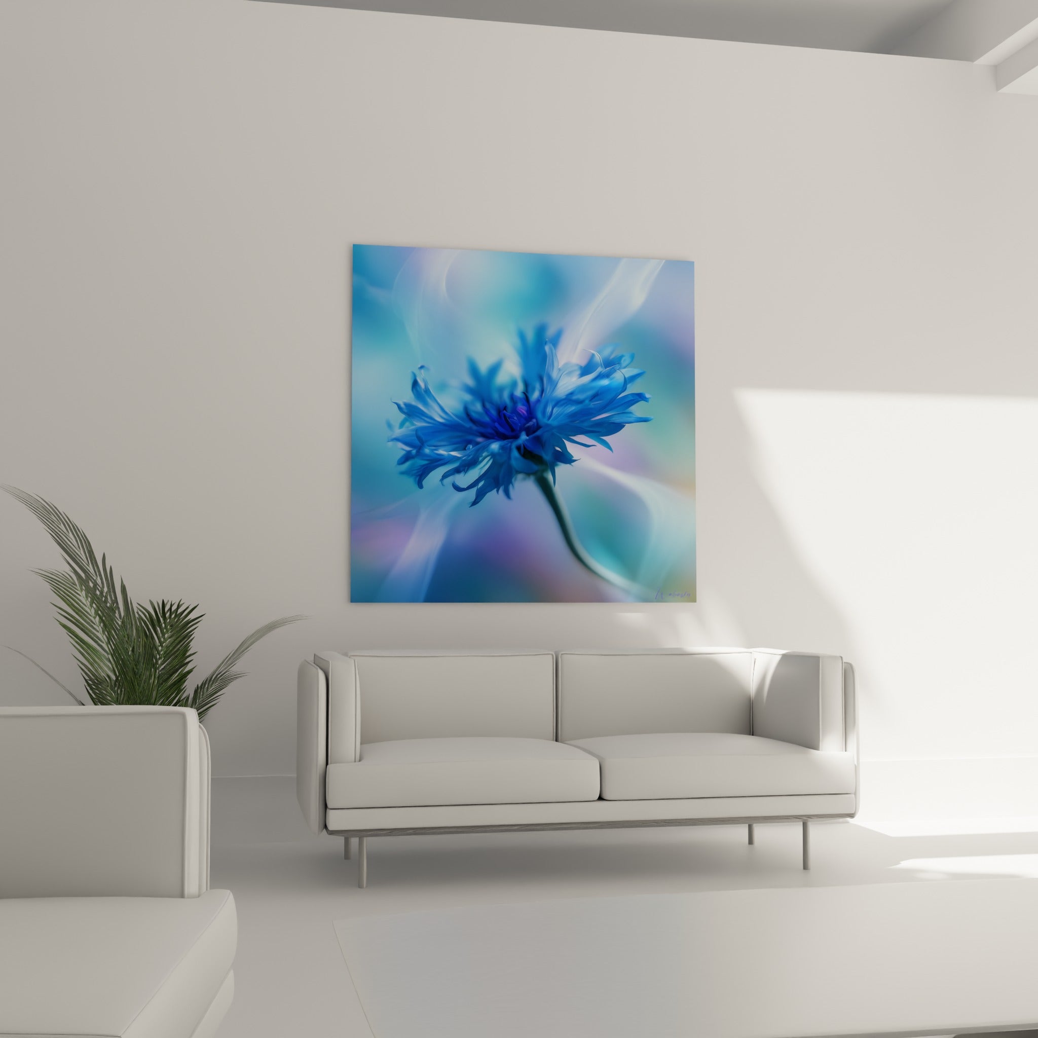 Pétales bleu profond et brume mauve d'un bleuet, suspendus au-dessus d'un canapé dans un salon lumineux
