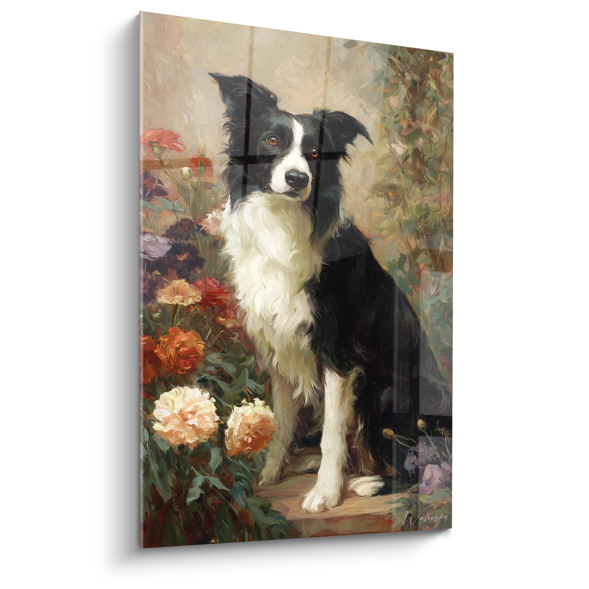 Tableau portrait Border Collie noir et blanc assis dans jardin fleuri avec roses pêche et feuillage luxuriant