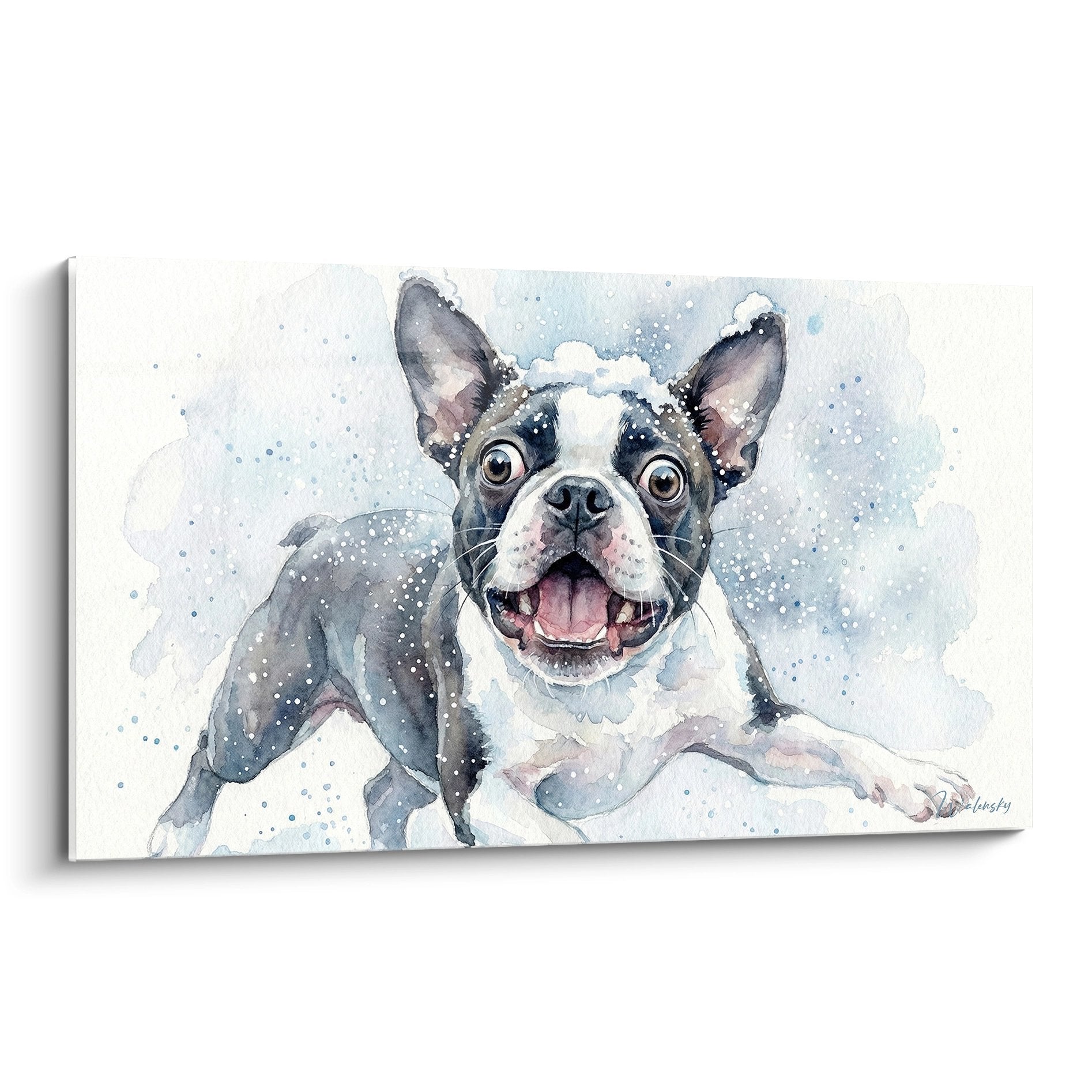 Tableau aquarelle Boston Terrier souriant tons bleus langue rose expression joyeuse eclaboussures artistiques