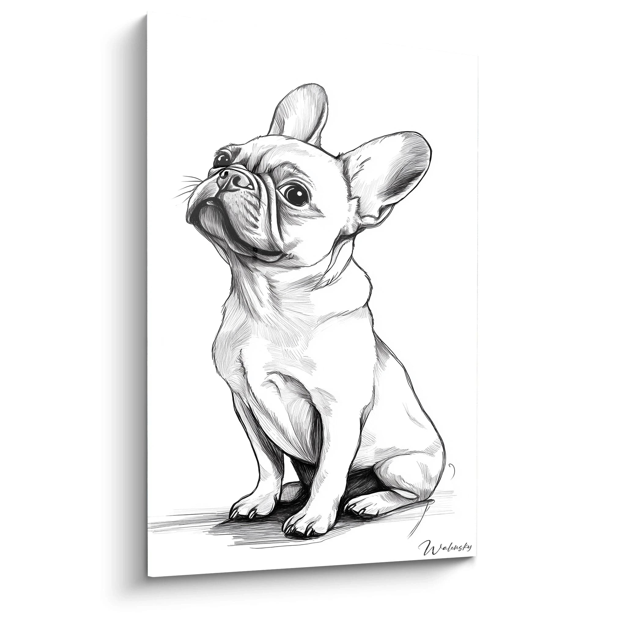 Un tableau bouledogue français en noir et blanc montrant un chien assis, à l'expression attentive. Traits fins au fusain créant des textures délicates pour le pelage court, avec un contraste marqué entre zones d'ombre et de lumière.