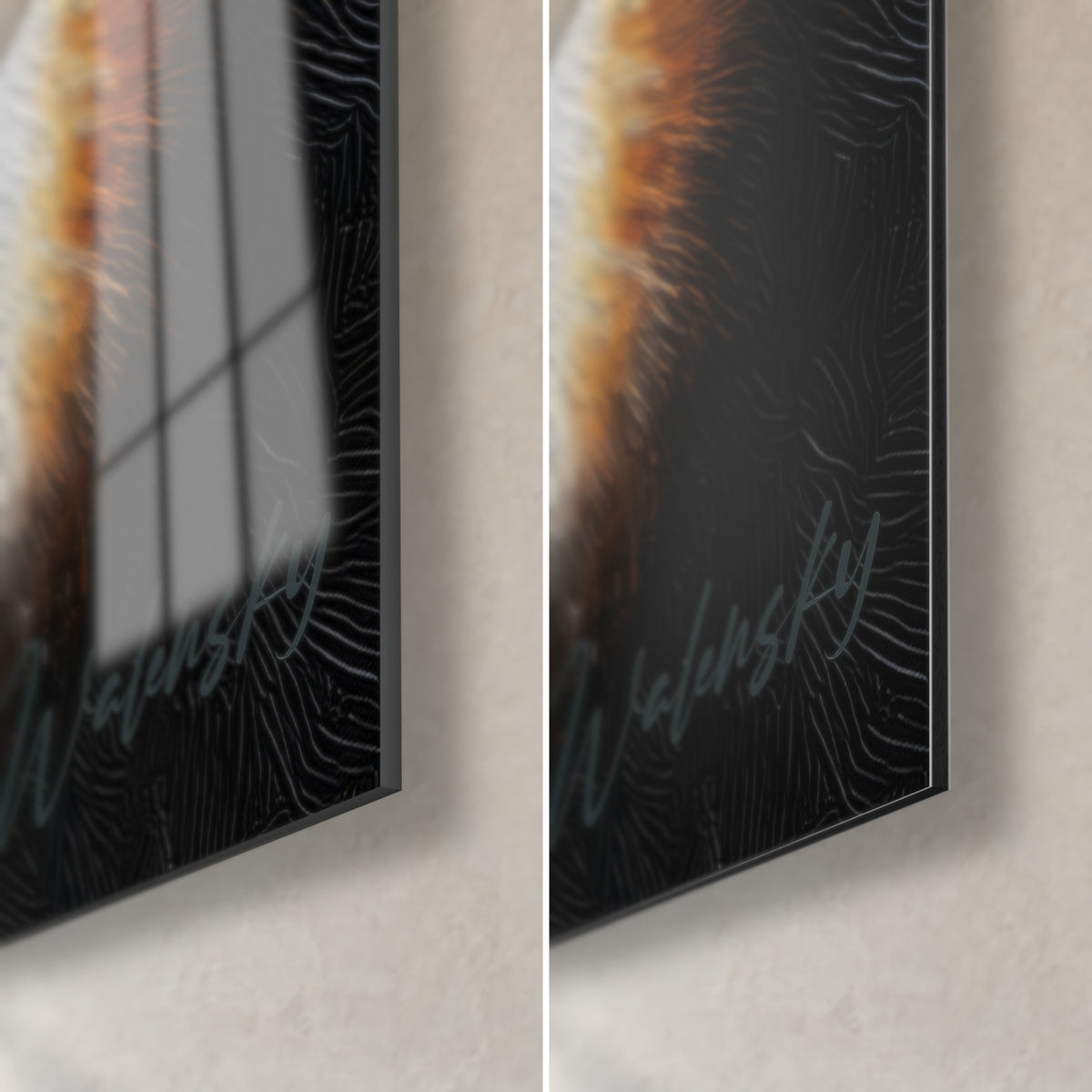 Πίνακας Μπέρνεζ Μαουντεν με έντονο βλέμμα, κάτω δεξιά γωνία: γυαλιστερό ακρυλικό γυαλί με αντανακλάσεις, ματ μαύρο Dibond, πάχος 3 mm
