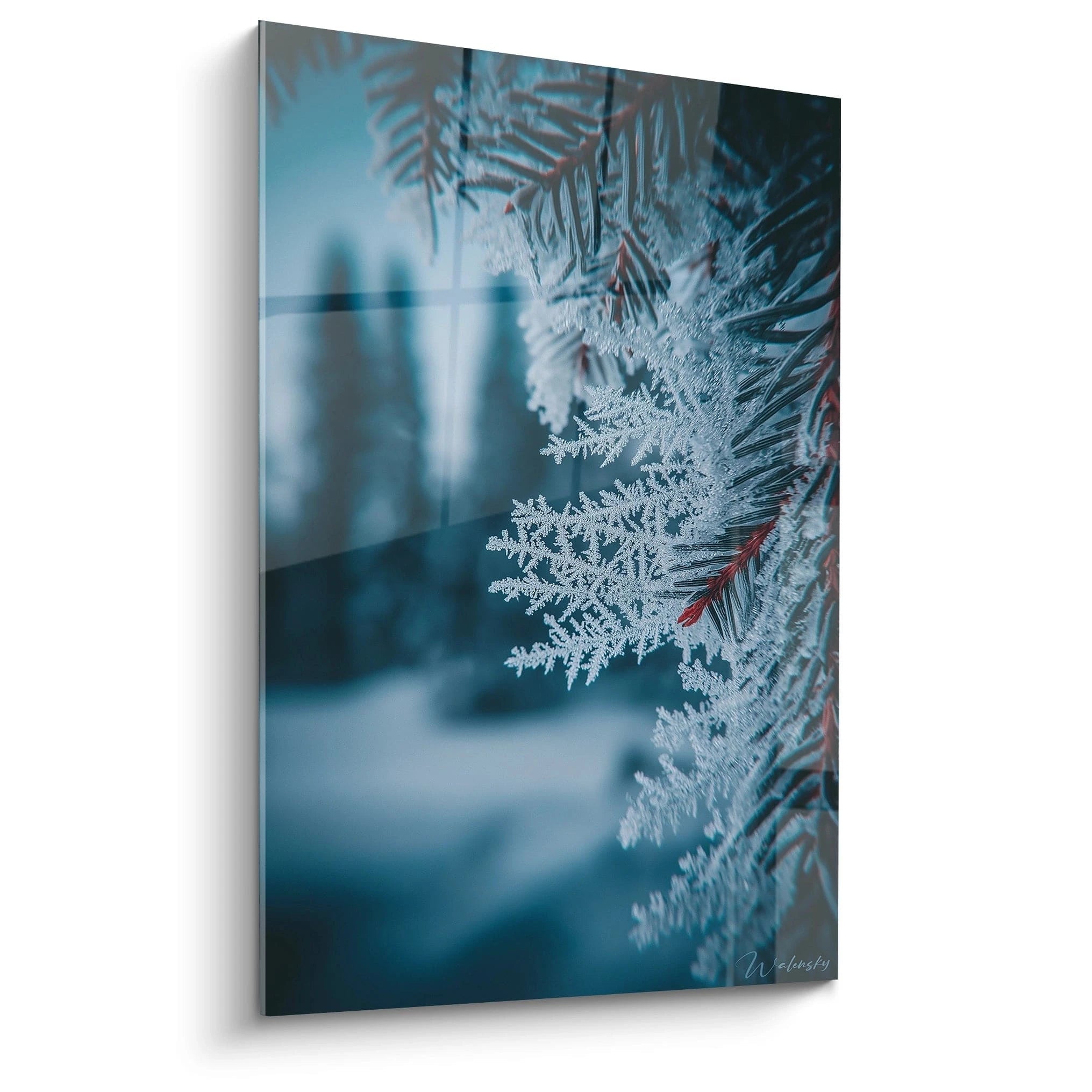 Walensky tableau mural branches givrées en gros plan montrant branches de sapin recouvertes de givre sur fond neigeux flou